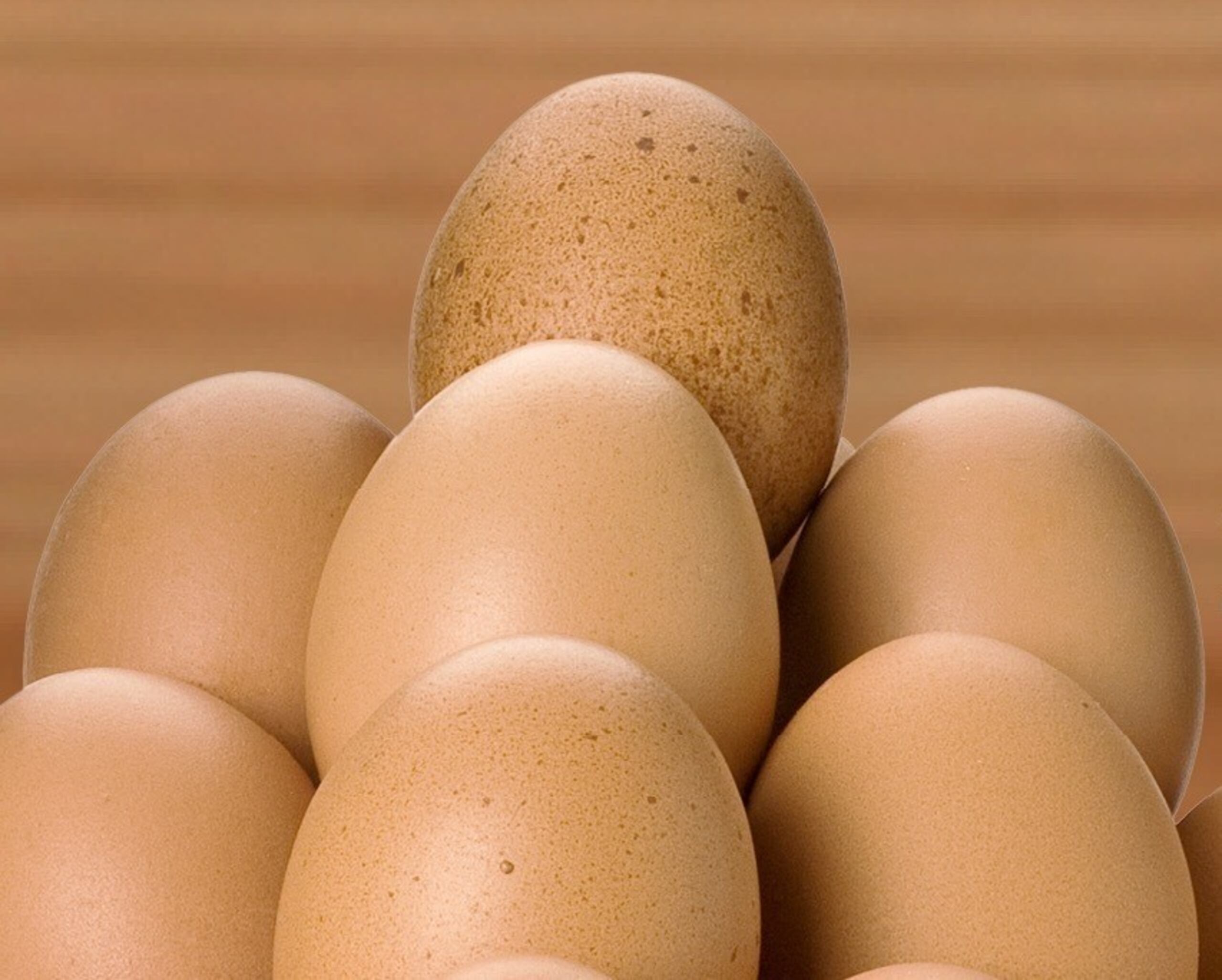 Como parte de su misión de ofrecer productos frescos del país que apoyan la agricultura y la sostenibilidad alimentaria, Wendy’s ofrece en sus desayunos el sabor incomparable de los huevos frescos de aquí.