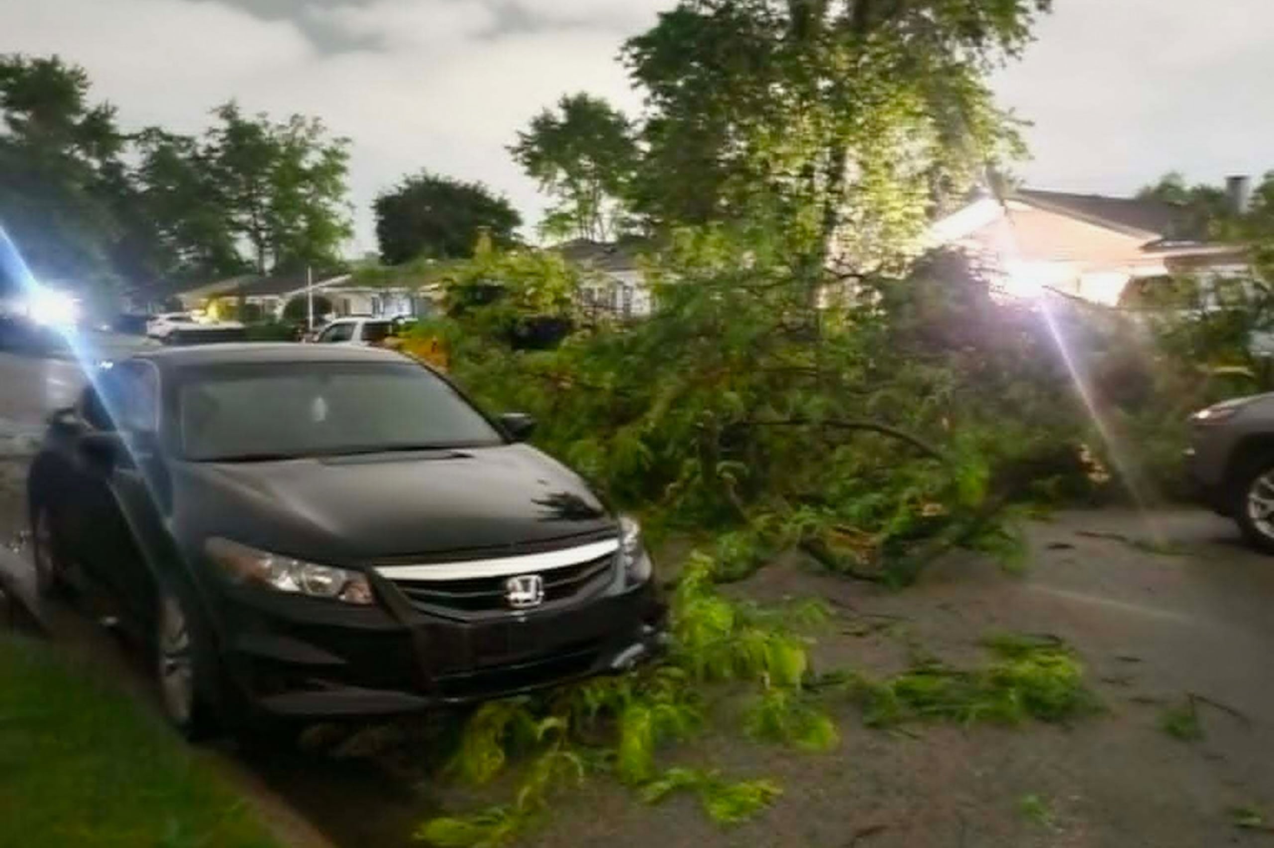 Ramas de árboles dañadas yacen en una calle en Elkhart, Indiana, el jueves 11 de junio de 2026, tras un sistema de mal tiempo en la zona.