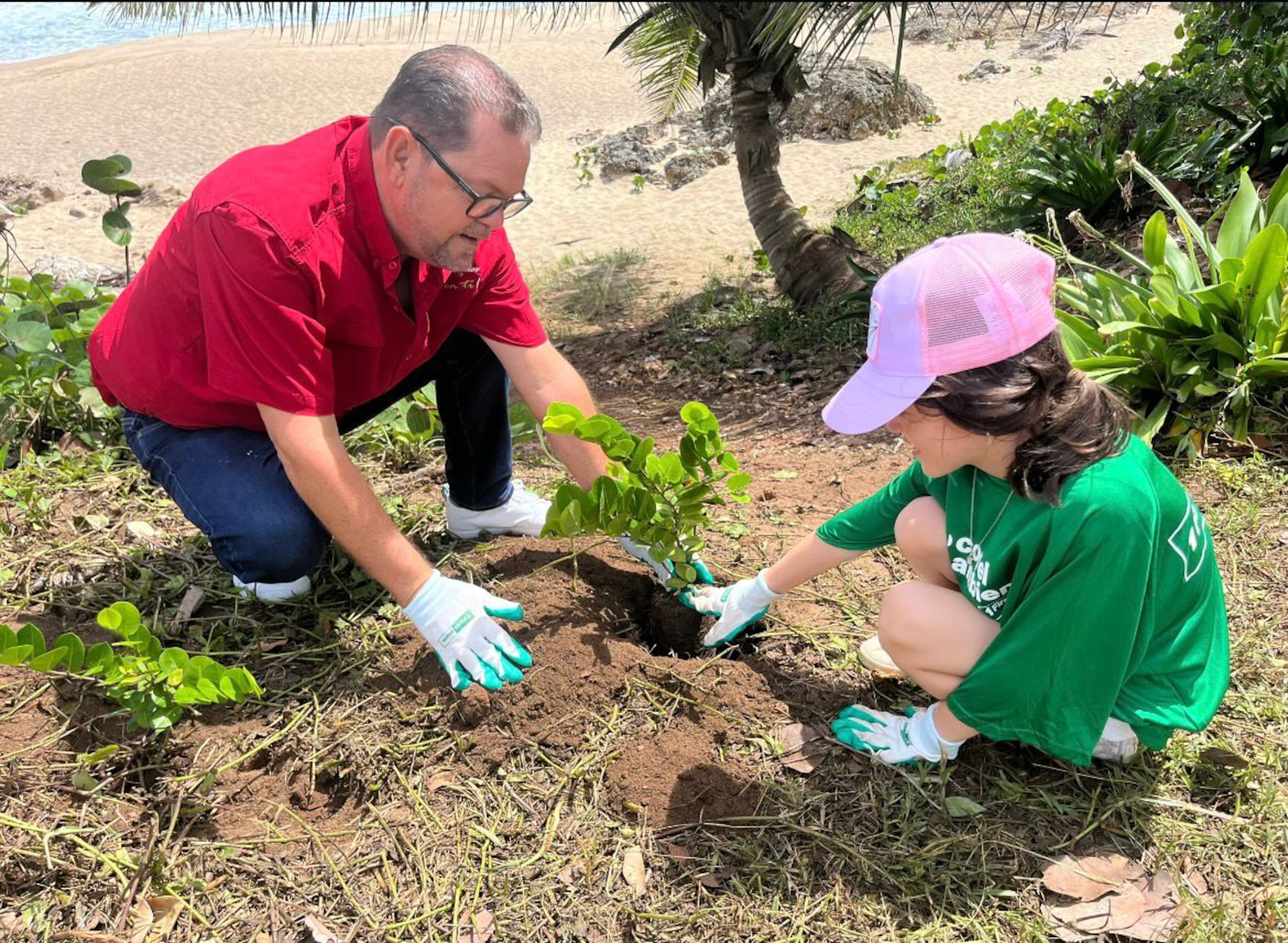 Entre los árboles sembrados se encuentran cayur, mangle botón, iacos y uvas playeras.