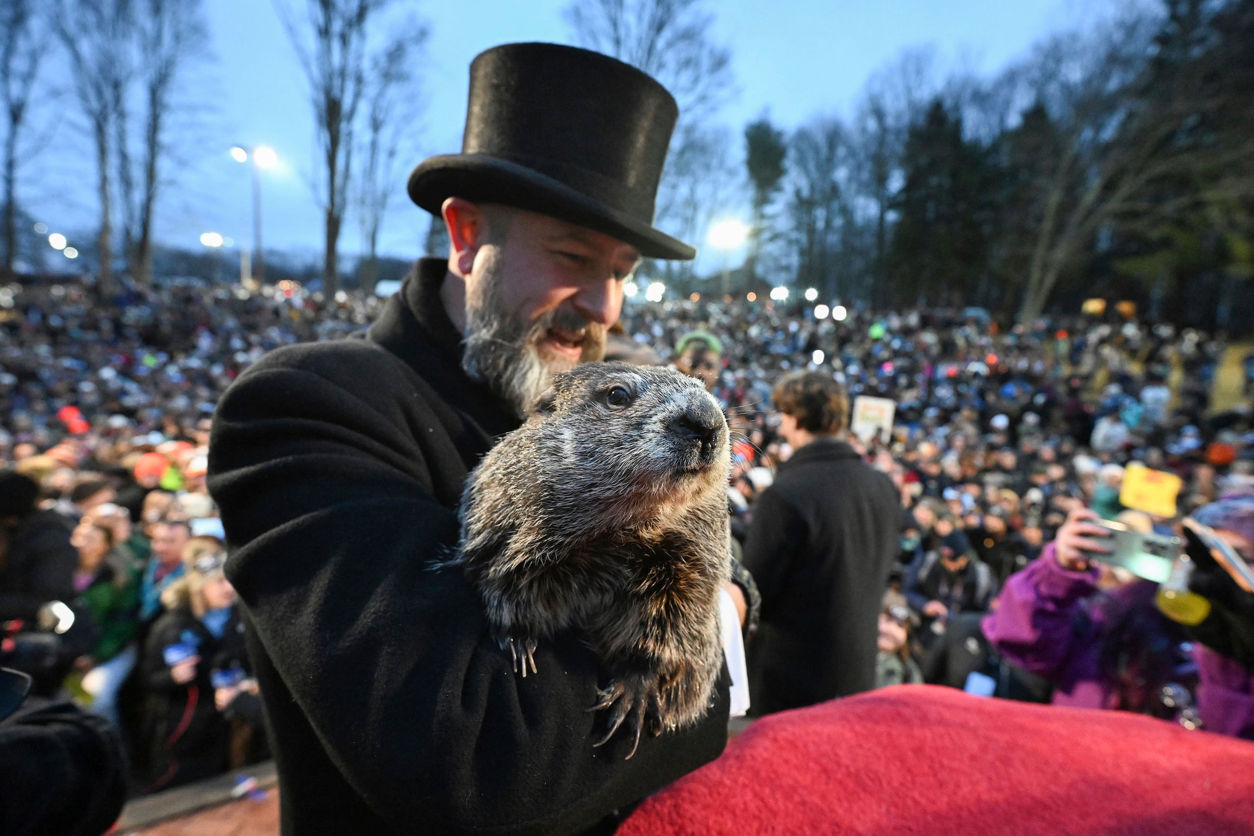 El Club de la Marmota de Punxsutawney anunció en la mañana que Phil no había visto su sombra. De acuerdo con la tradición, si la marmota ve su sombra, significa seis semanas más de invierno.