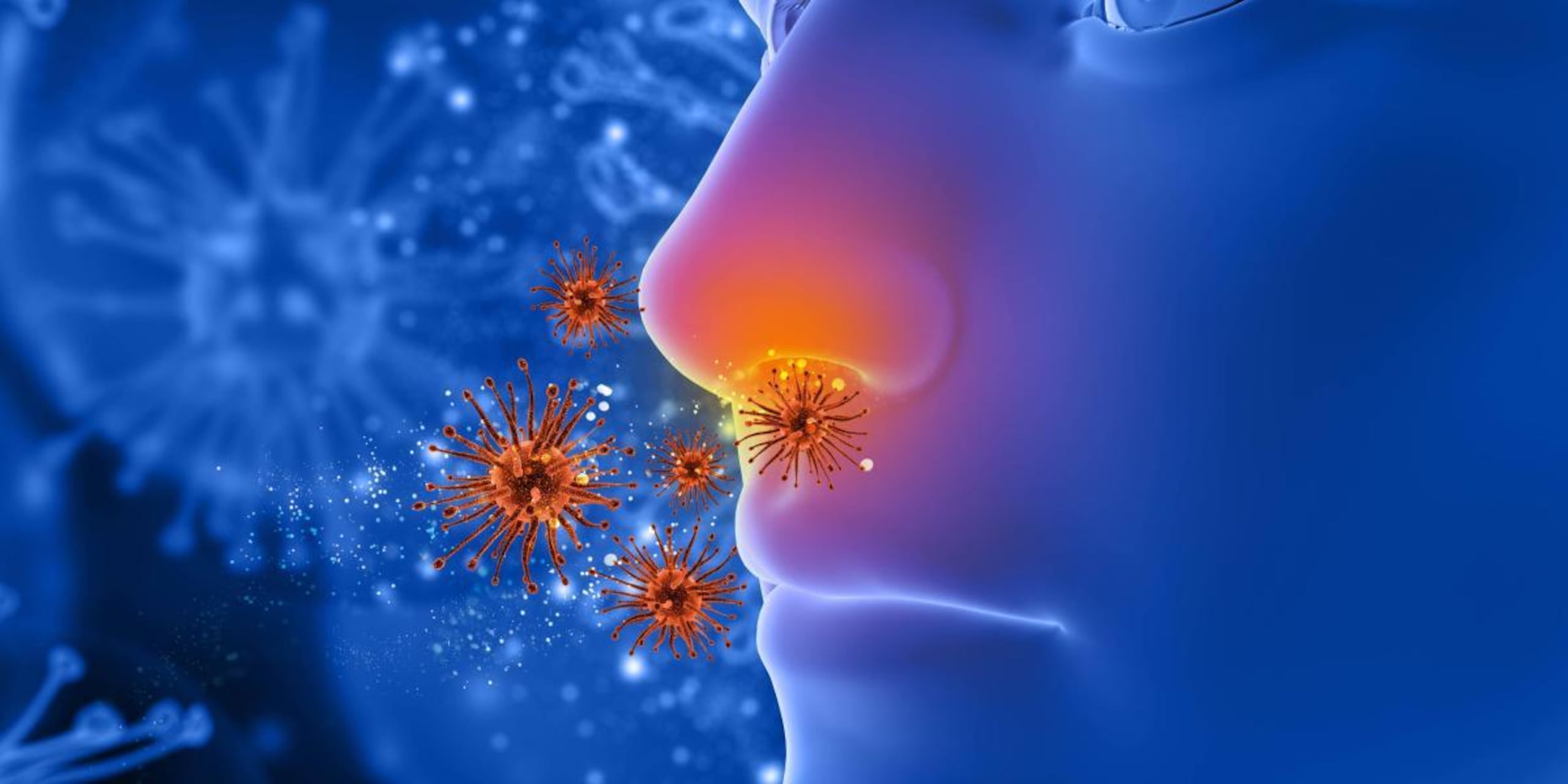 Encontraron el vínculo entre el olfato y la salud.