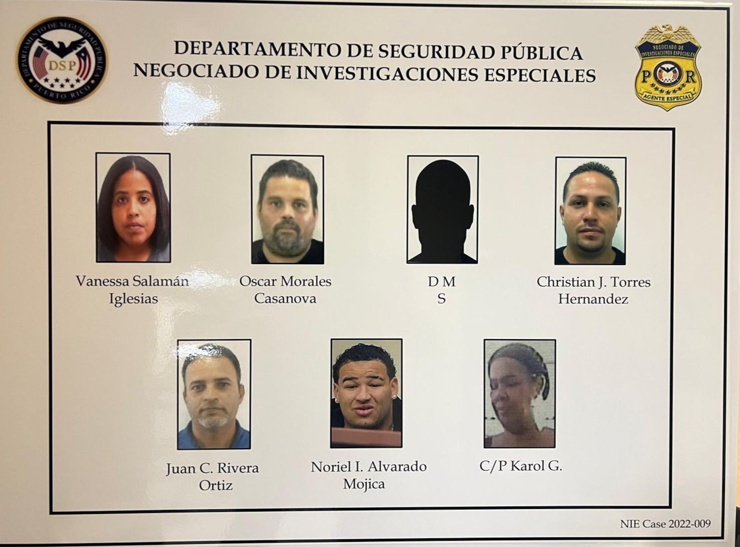 El NIE diligenciaron seis órdenes de arresto por venta de armas ilegales, que operaban en Río Grande, Carolina, San Juan y Bayamón.