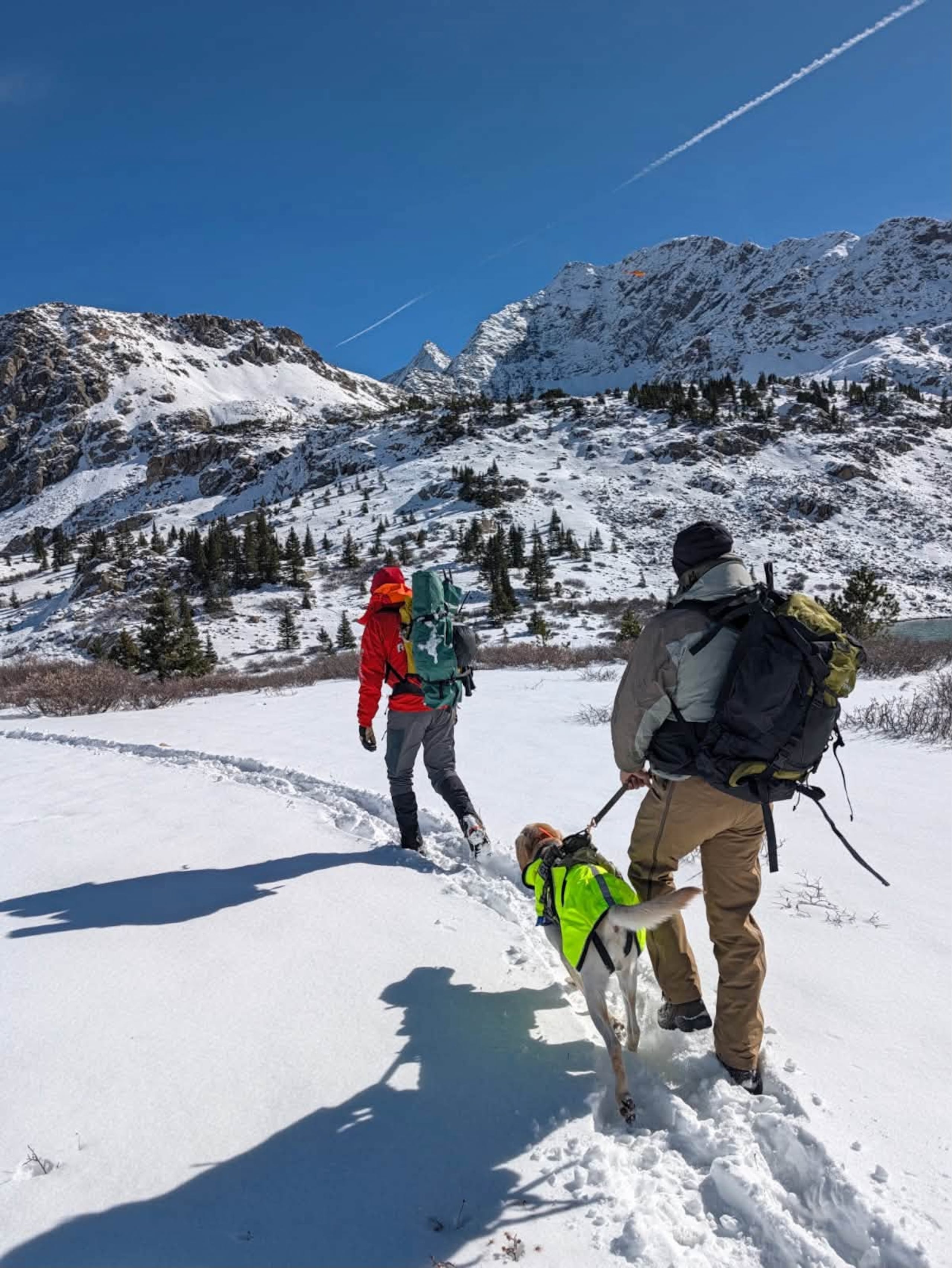 Foto entregada por la Policía del condado Chaffee, que muestra a voluntarios buscando a montañistas desaparecidos cerca de la montaña West Apostle Mountain, en Colorado, el 28 de octubre del 2026.
