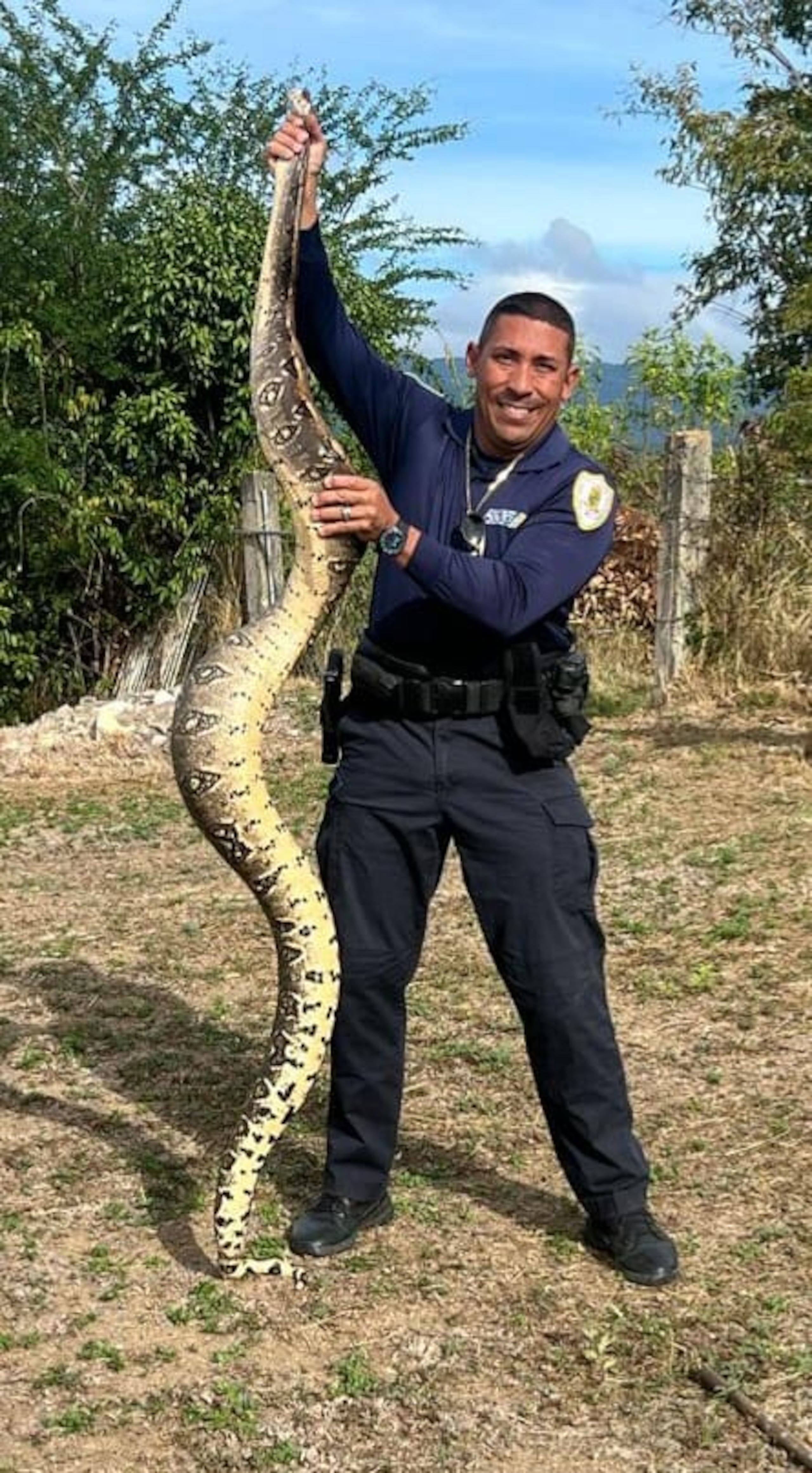El “snake hunter” sabaneño explicó que, una de las razones para que estas culebras continúen reproduciéndose en esta zona, es por la gran cantidad de cuerpos de agua que existen.
