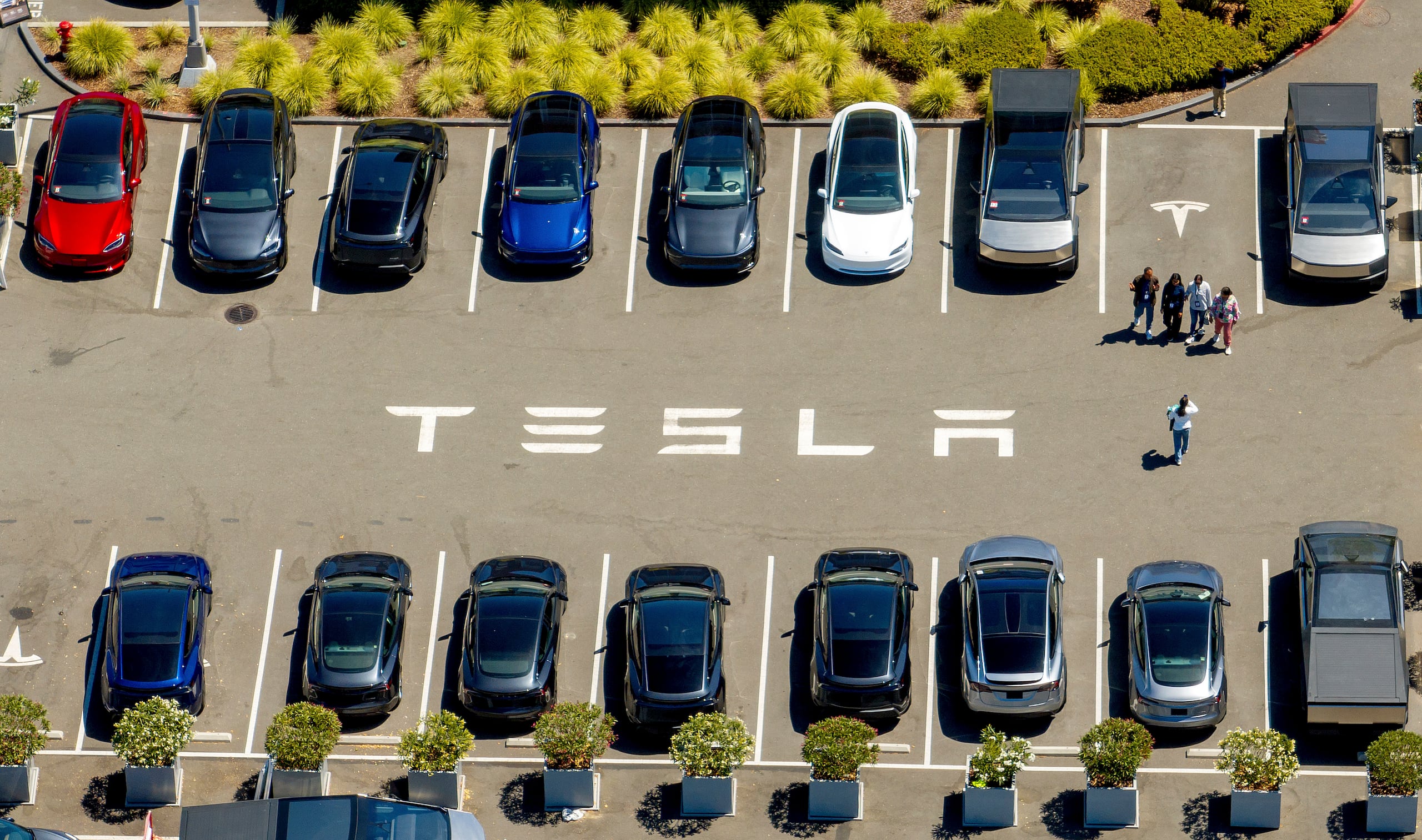 Vehículos Tesla en un estacionamiento en la fábrica de la compañía, el martes 5 de agosto de 2025, en Fremont, California. (AP Foto/Noah Berger)