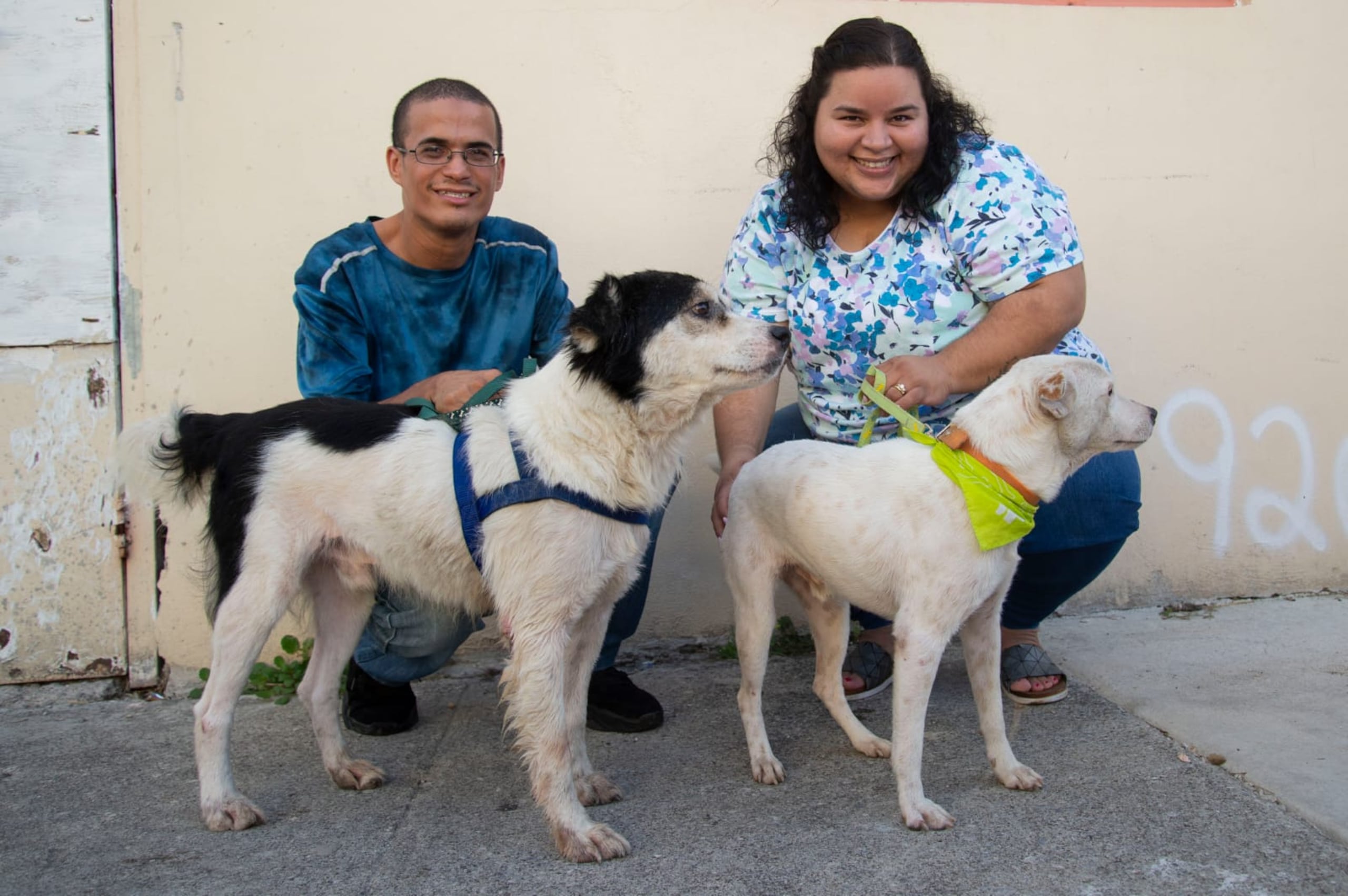 Goran, de color blanco y negro, hizo amistad con Buster en el Albergue de Animales de Ponce, por lo que Carlos Juan y Merced Demill no lo pensaron dos veces para llevarlo a casa. Actualmente, cuidan de cuatro perros.