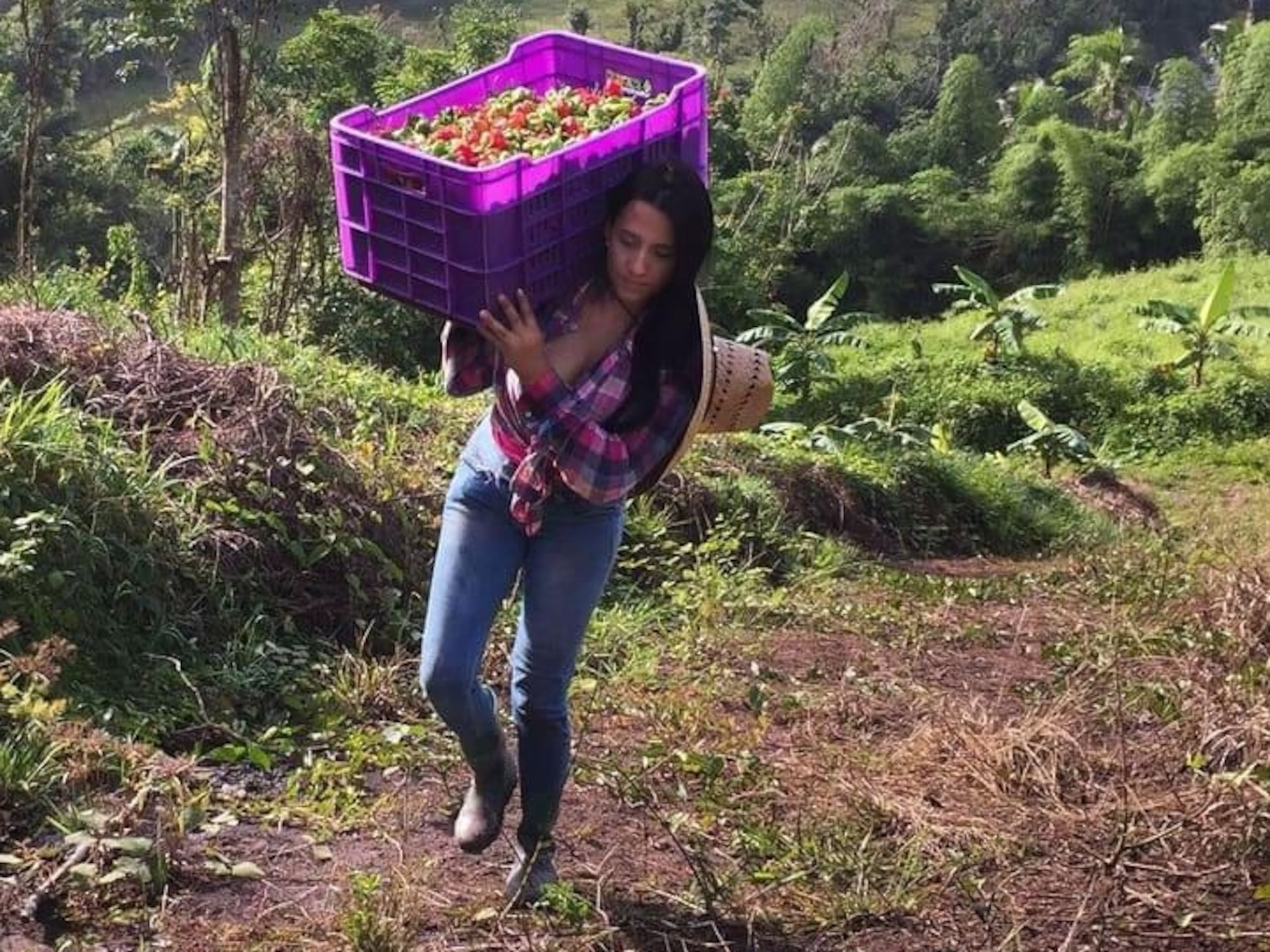 Stephanie es una conocida “influencer” de temas de agricultura en redes sociales, como Instagram y Facebook, donde tiene casi 150,000 seguidores.