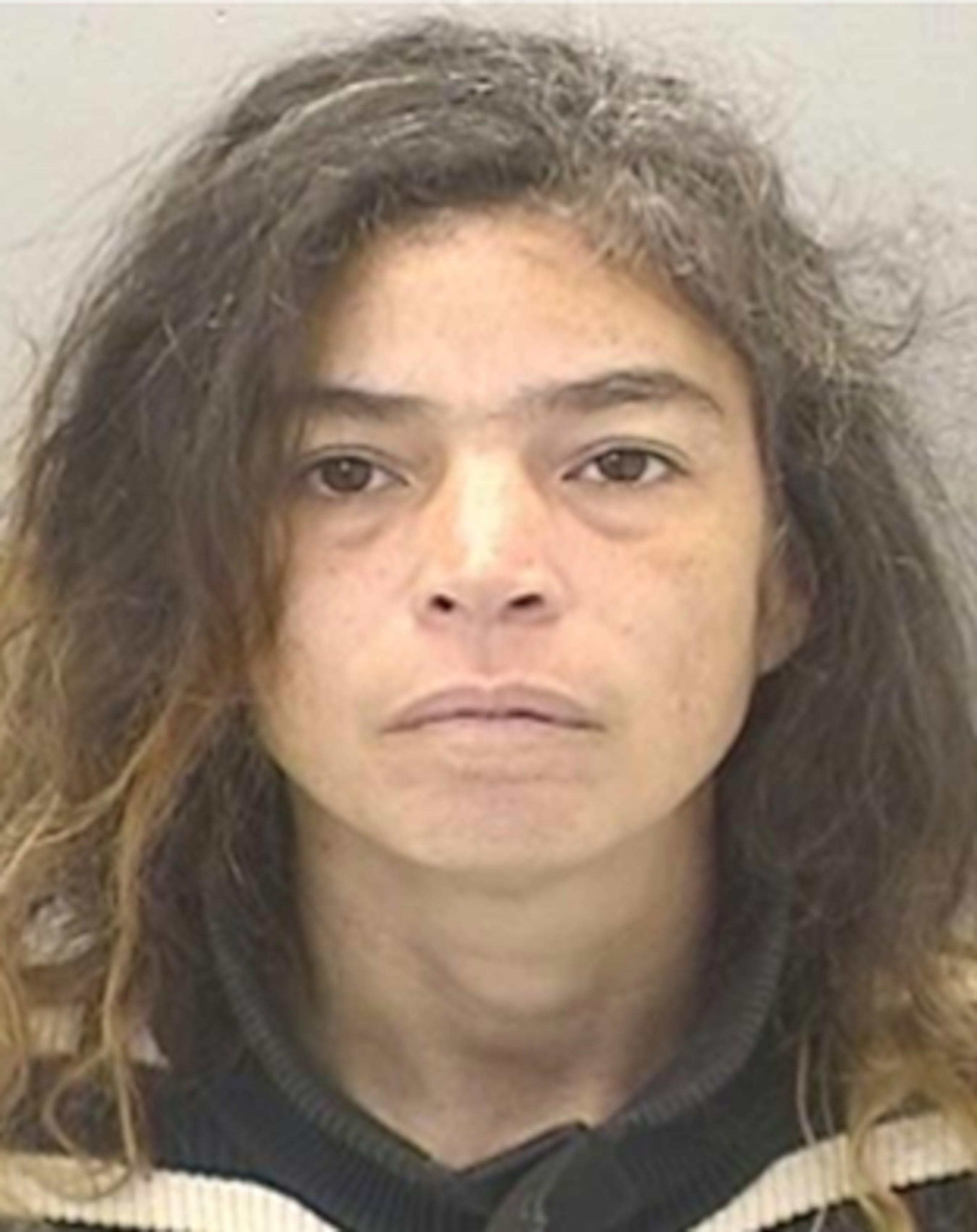 Ficha de Viviana Sepúlveda Hernández, de 44 años, suministrada por la Policía.