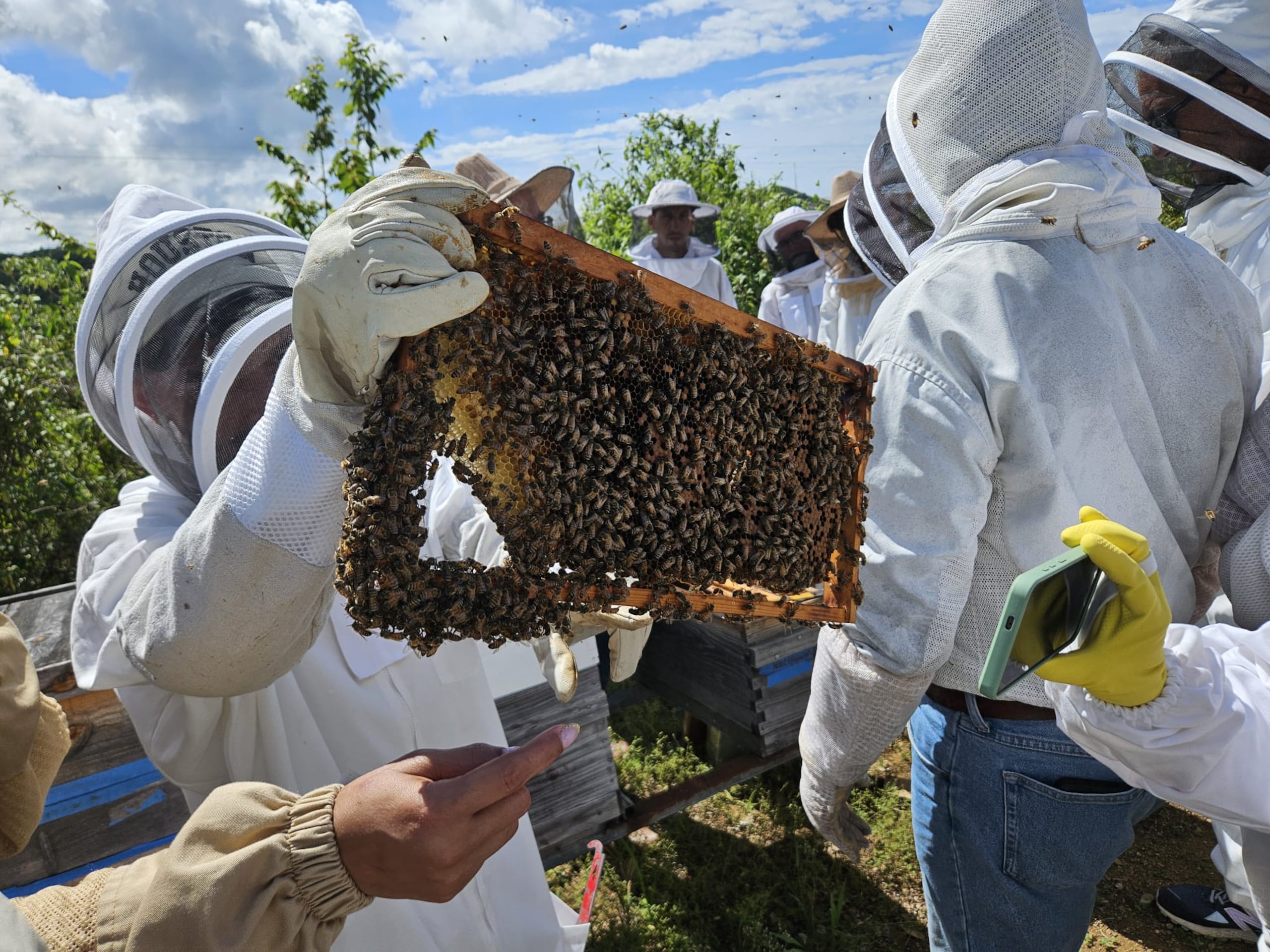 Otro de los conferenciantes será Ricardo Caraballo Padilla, CEO de Apiturismo, empresa que realiza tours en Yauco en los que los asistentes conocen sobre las abejas.