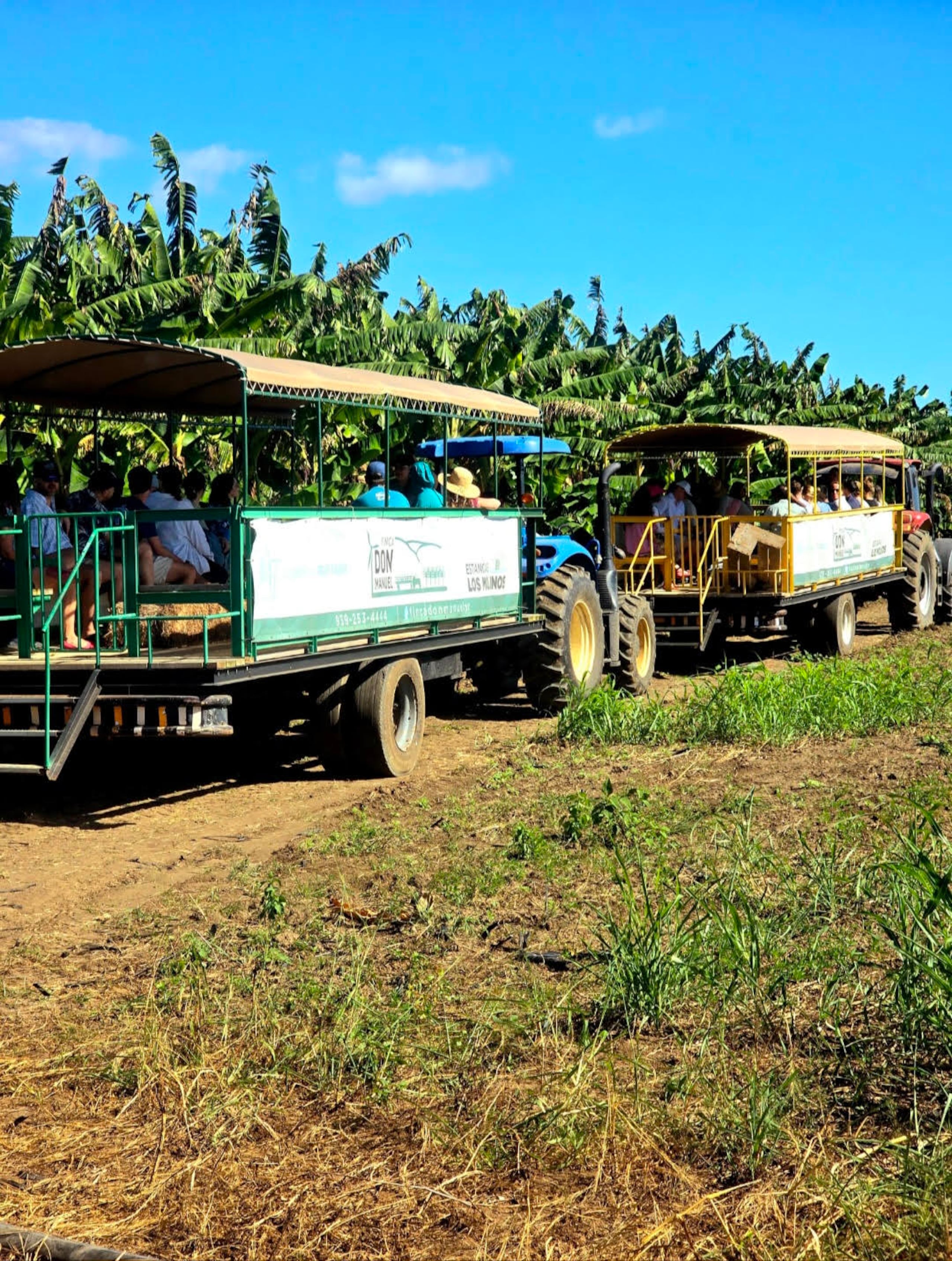 En la Finca Don Manuel, en Santa Isabel, también se realizan tours para impulsar el agroturismo.