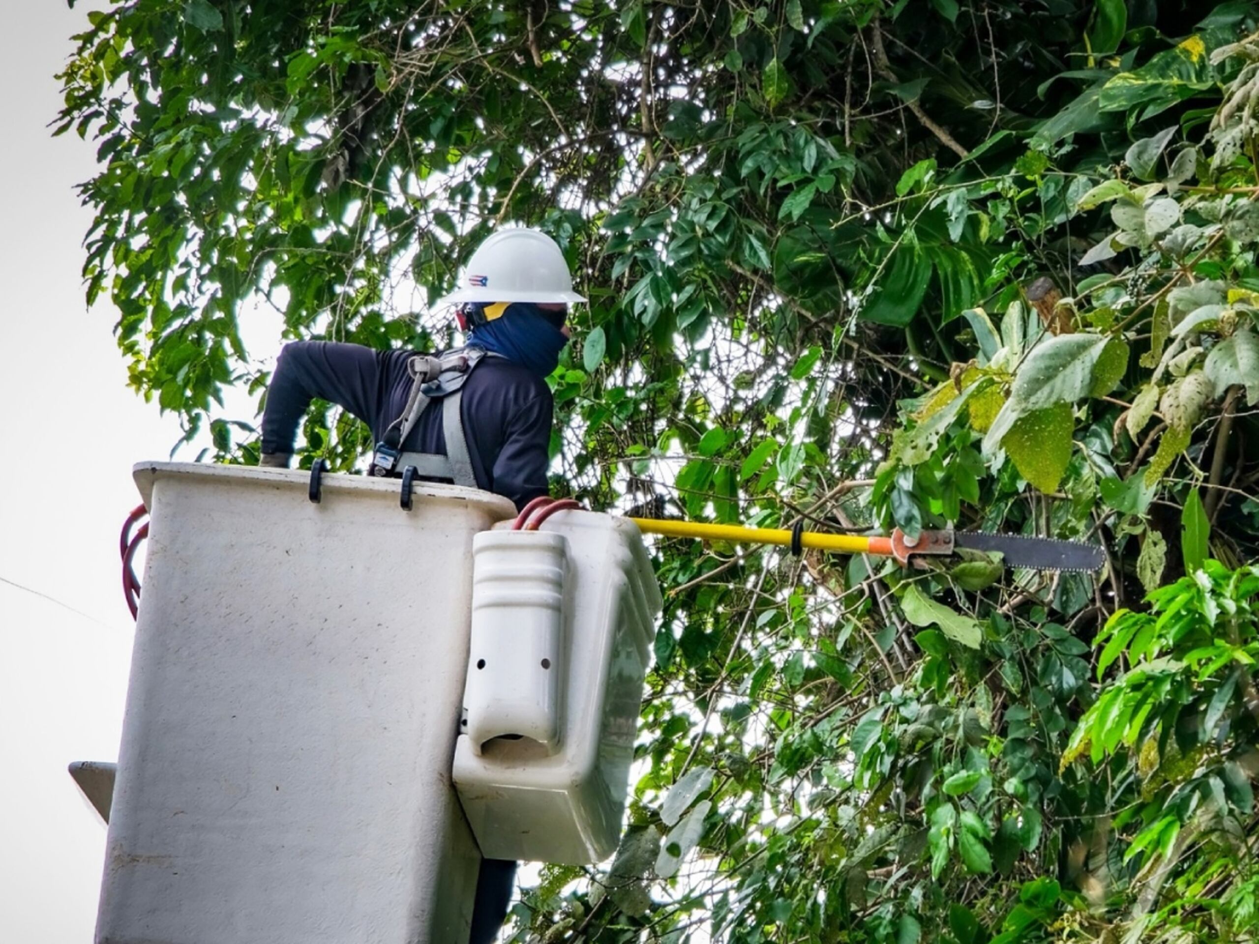 Despejar más de 16,000 millas de vegetación peligrosa no solo es una necesidad técnica, sino también una medida de responsabilidad social y ambiental.