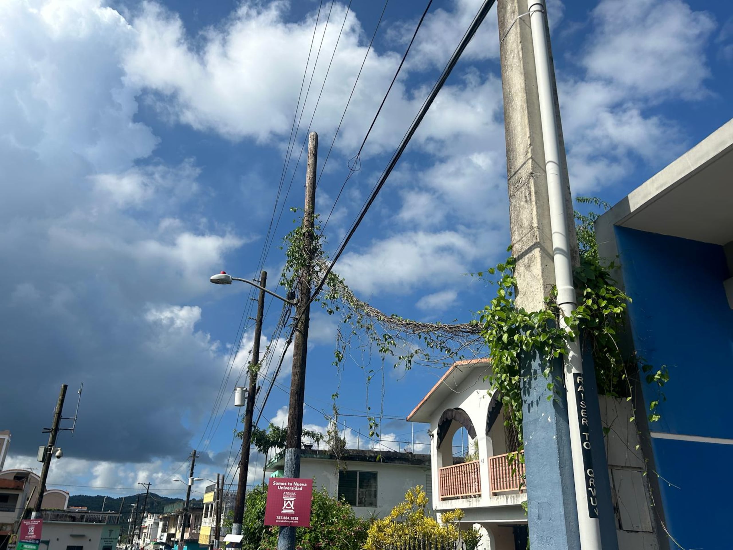 Una residente estimó que el problema con el servicio de energía se agrava por la falta de limpieza de la vegetación, que se ha apoderado de los tendidos eléctricos.