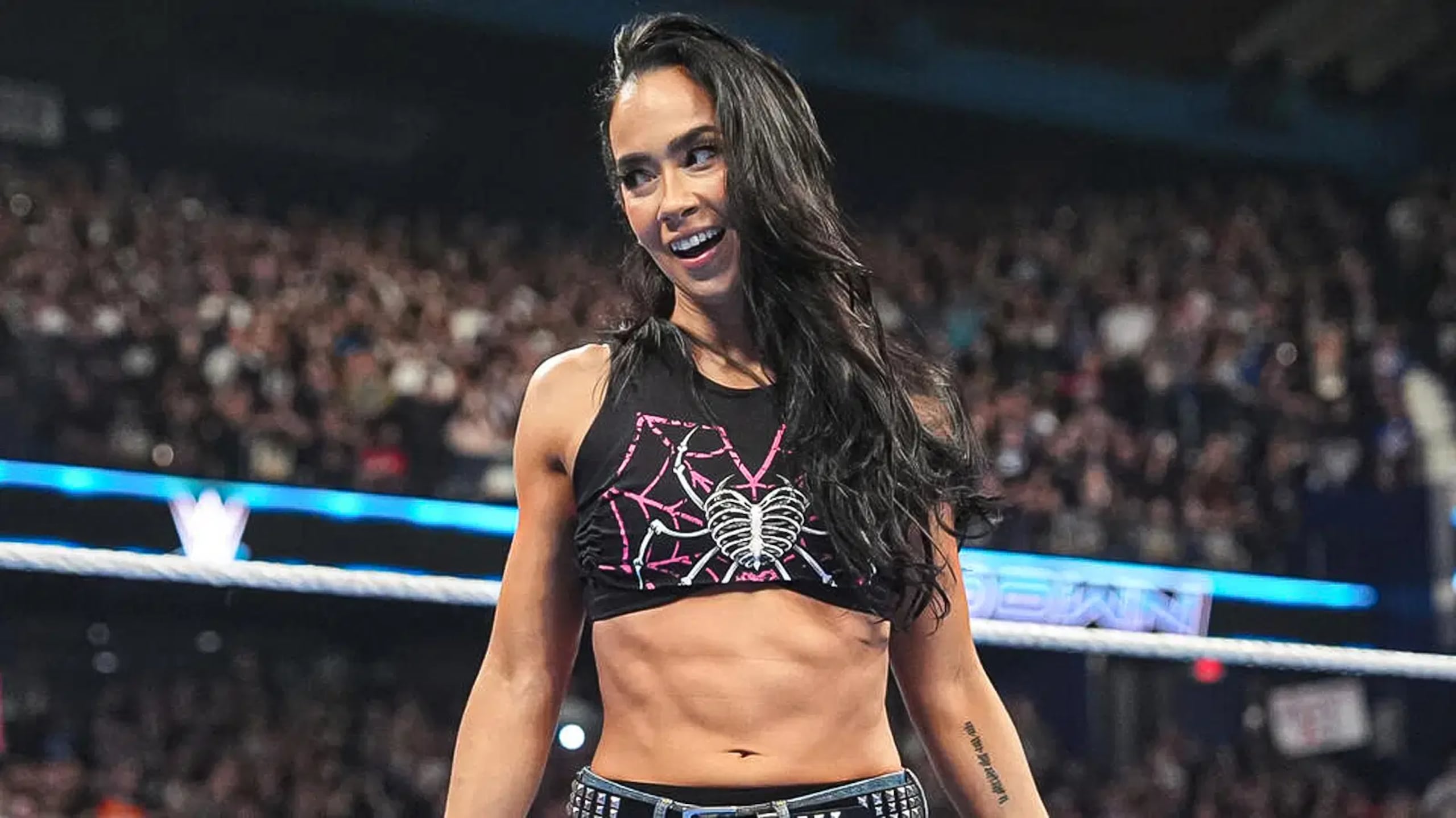 AJ Lee nació en Nueva Jersey, pero es de padres boricuas y visita con regularidad la Isla.