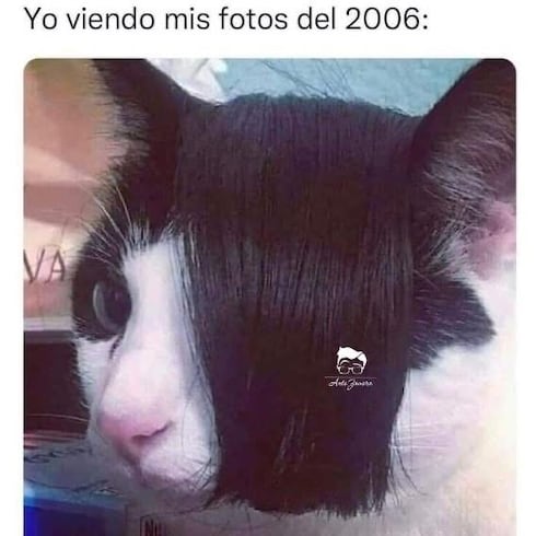 Los mejores memes de la semana