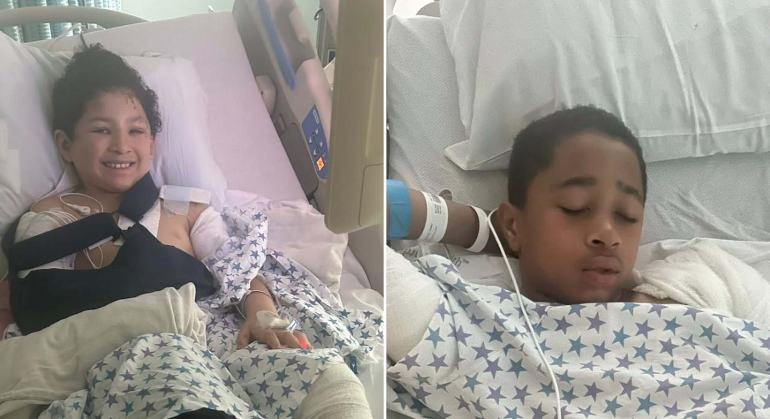 Los niños fueron atacados por tres perros el pasado lunes.