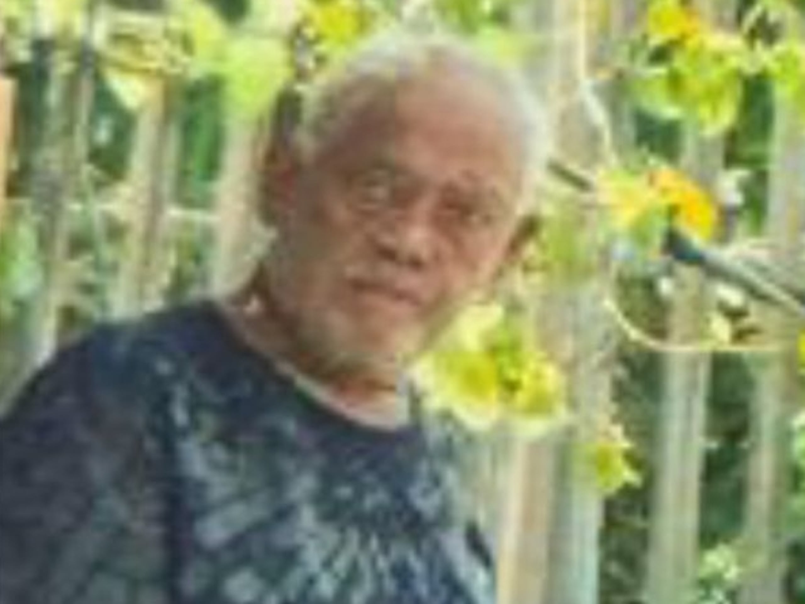 José Luis Colón López fue visto por última vez ayer en el barrio Algarrobo de Vega Baja.
