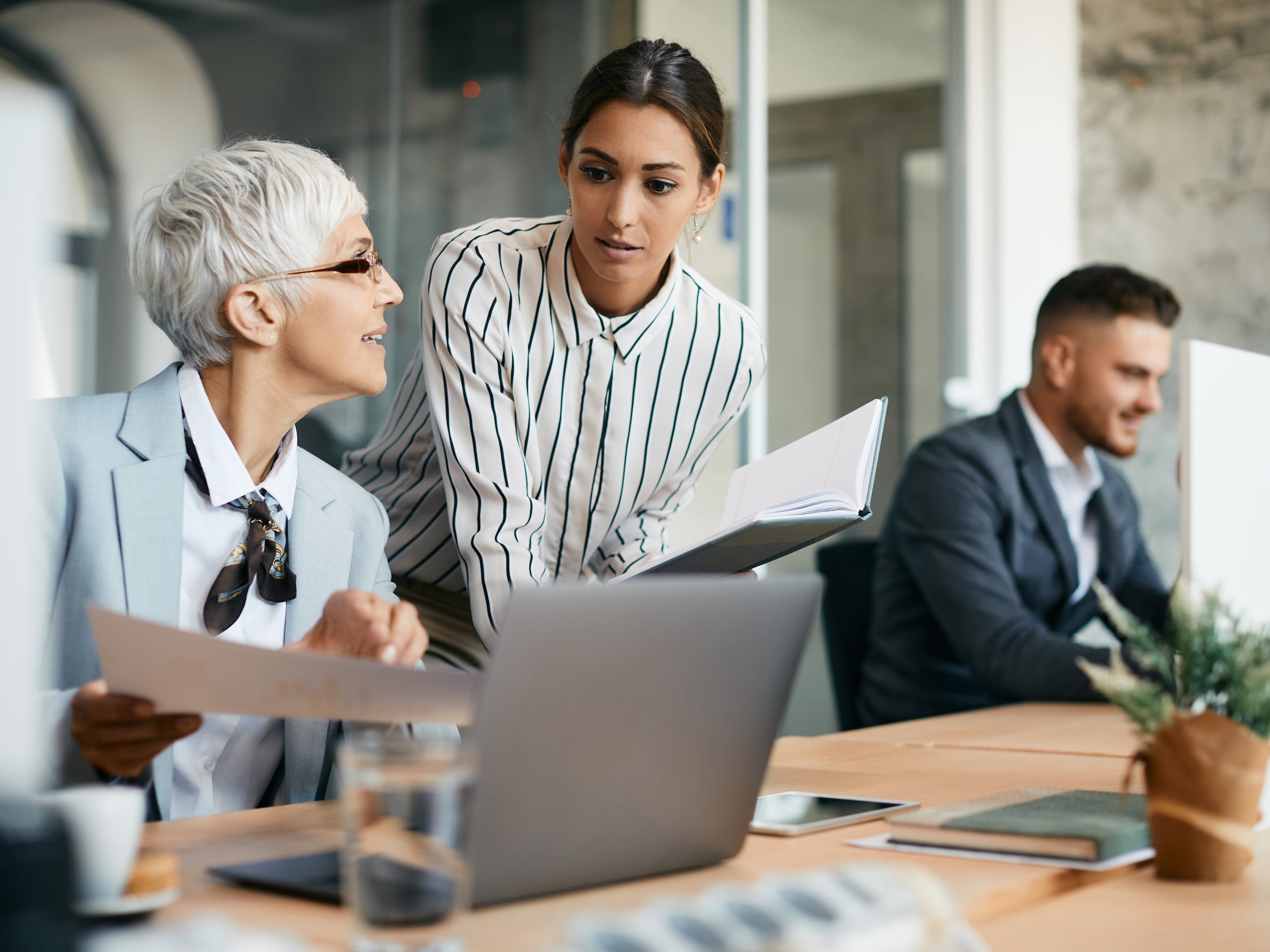 Existen áreas de oportunidad tanto para el adulto mayor que es consumidor, como para los adultos mayores que trabajan dentro de las empresas y para los que se conviertan en emprendedores.