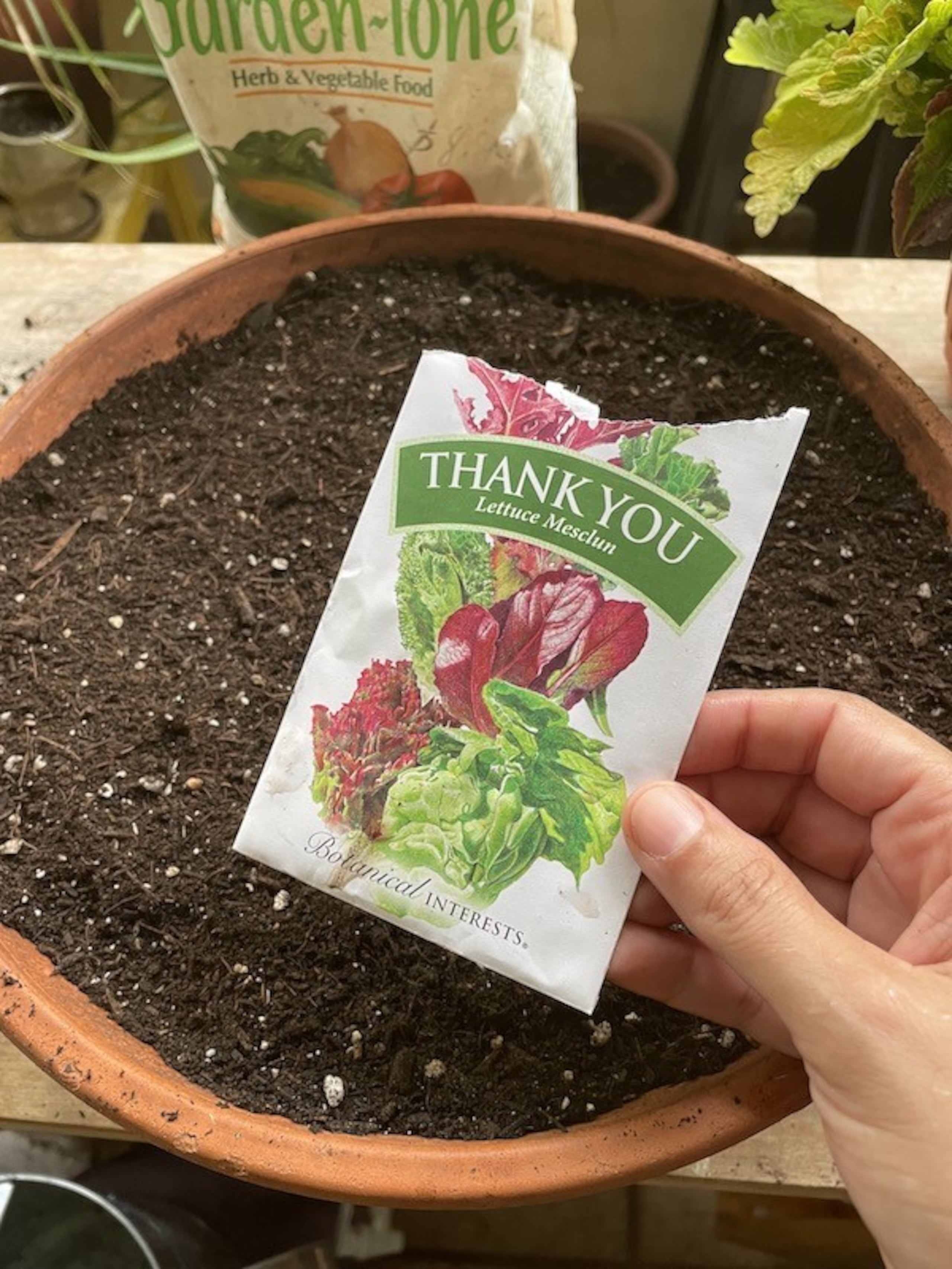 Perla Sofía Curbelo habla sobre los beneficios, inclusive en los espacios de trabajo al establecer un contacto con las plantas.