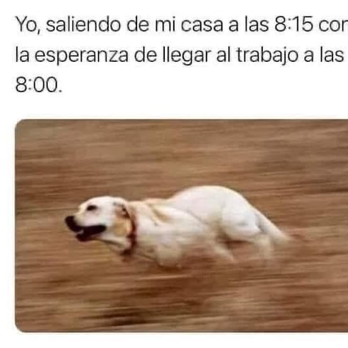 Los mejores memes de la semana