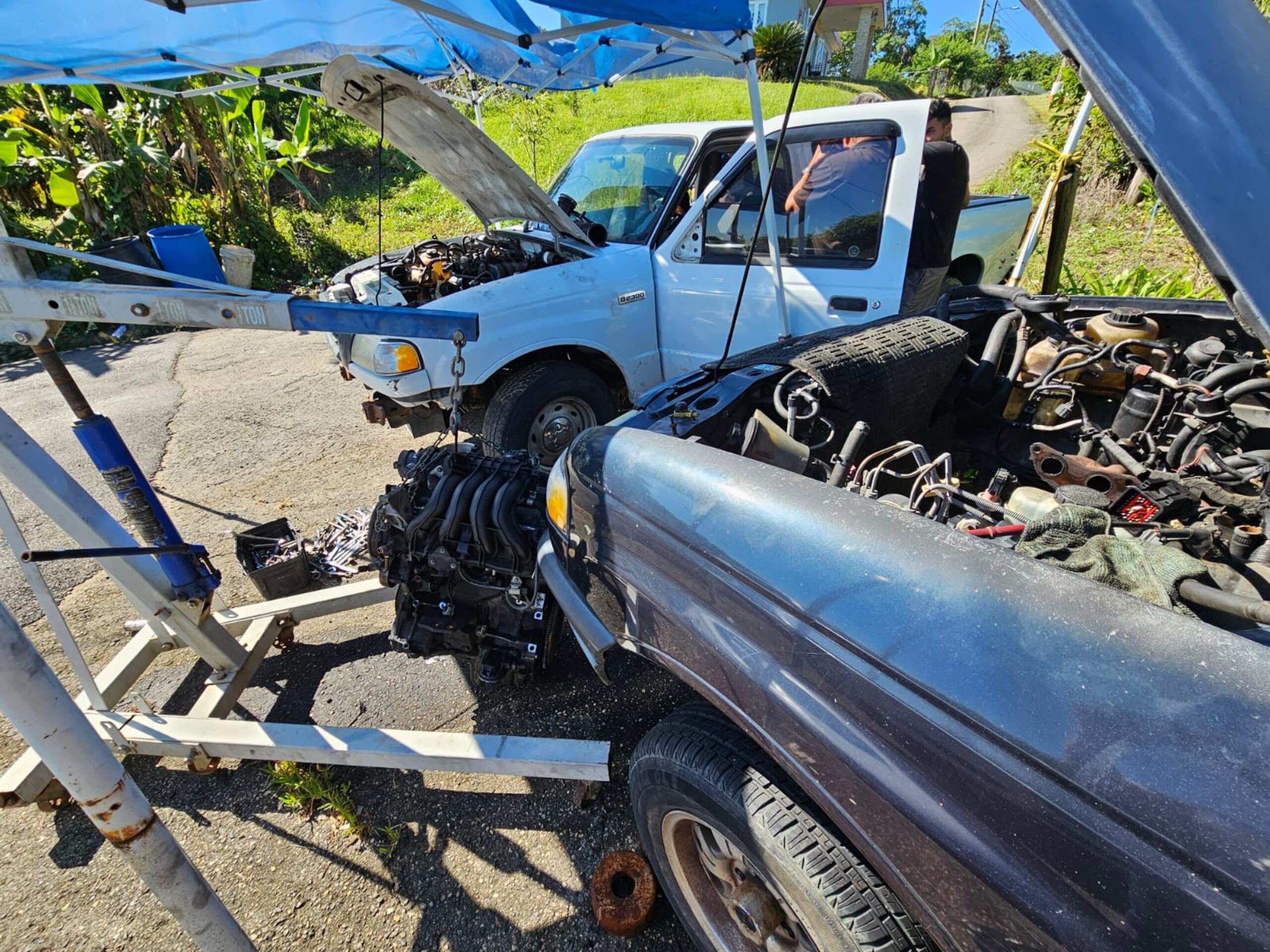 La Policía recibió una confidencia sobre lo que allí ocurría.