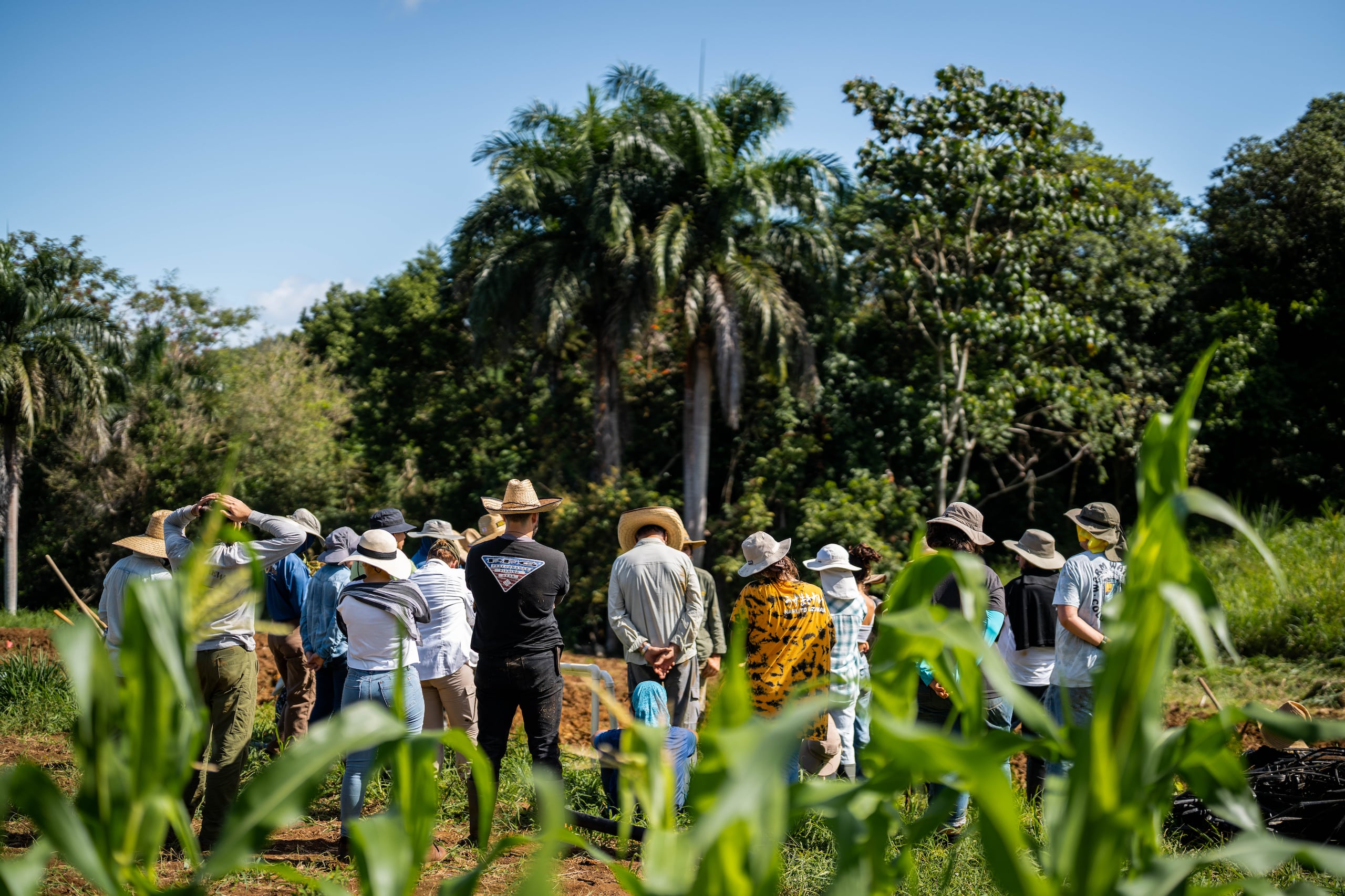 Además de trabajos agrícolas, se dedican a la educación. Por ello, tienen un curso de seis meses de agroecología sustentable.