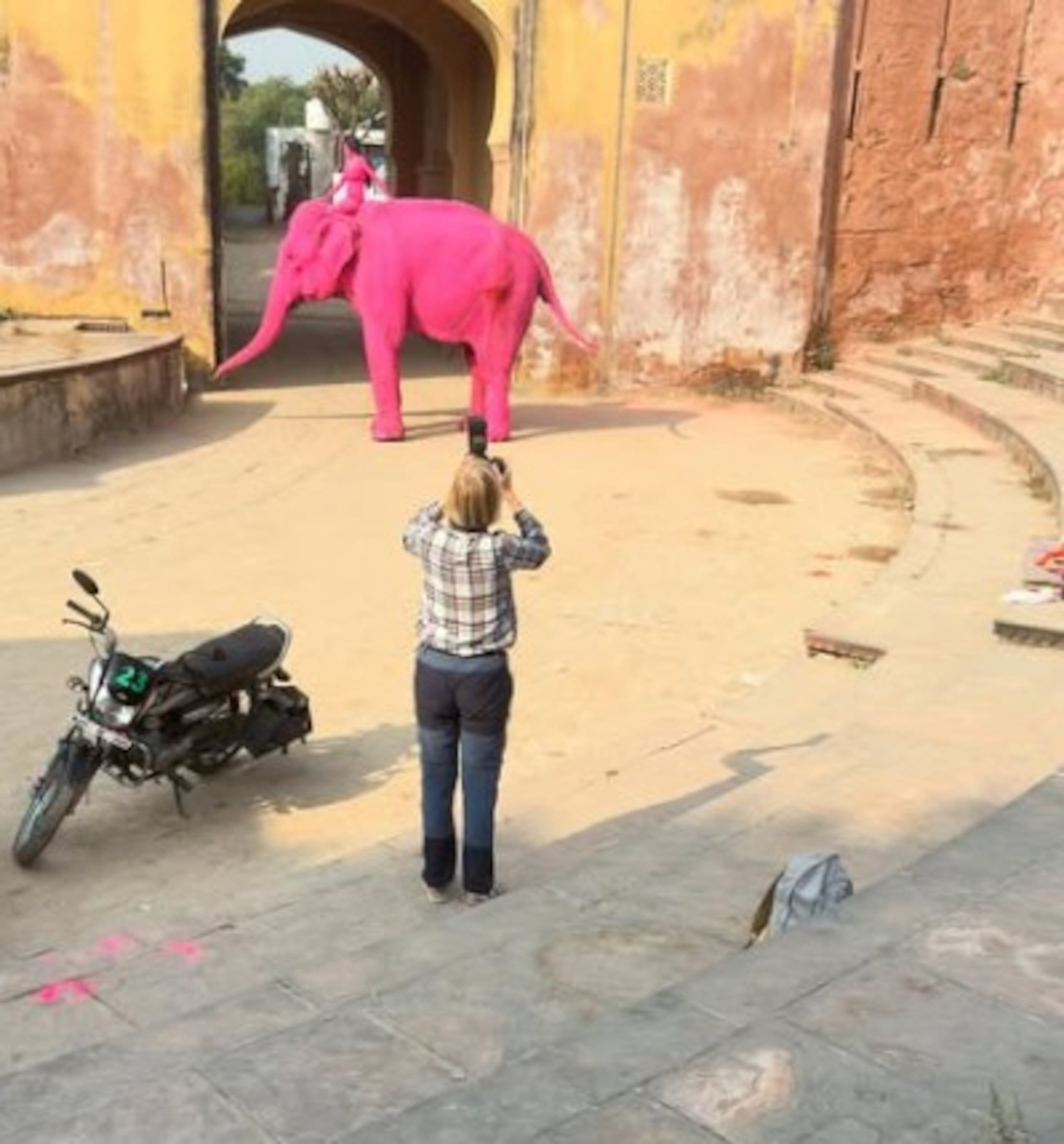 Según el propietario del paquidermo, la muerte del animal se debió a su avanzada edad.