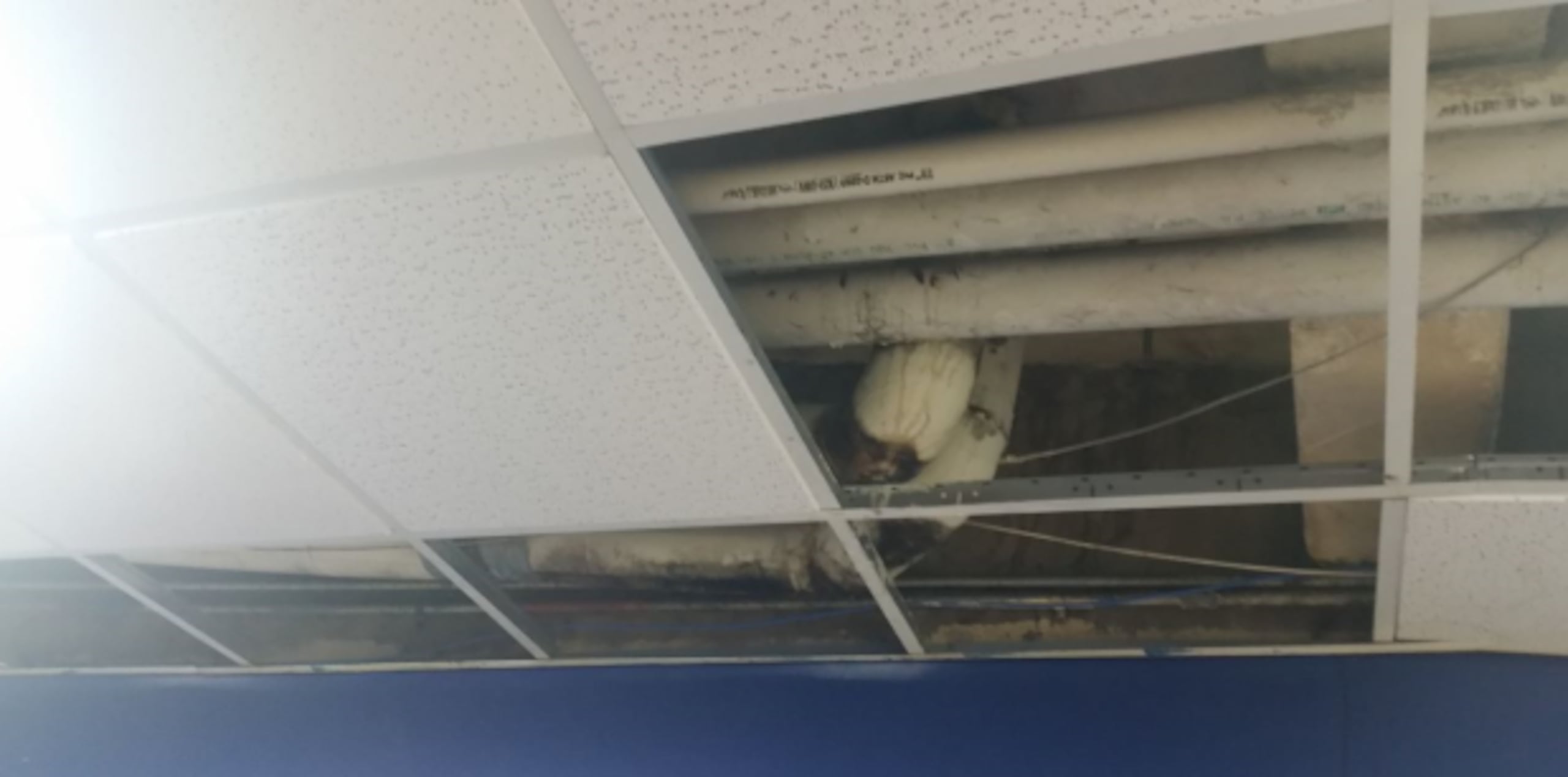 El deterioro de la planta física no solo se observa en los distritos, sino en el Cuartel General de la Policía en San Juan, donde hace varias semanas se cayeron los techos acústicos o plafones del sótano. (Suministrada)