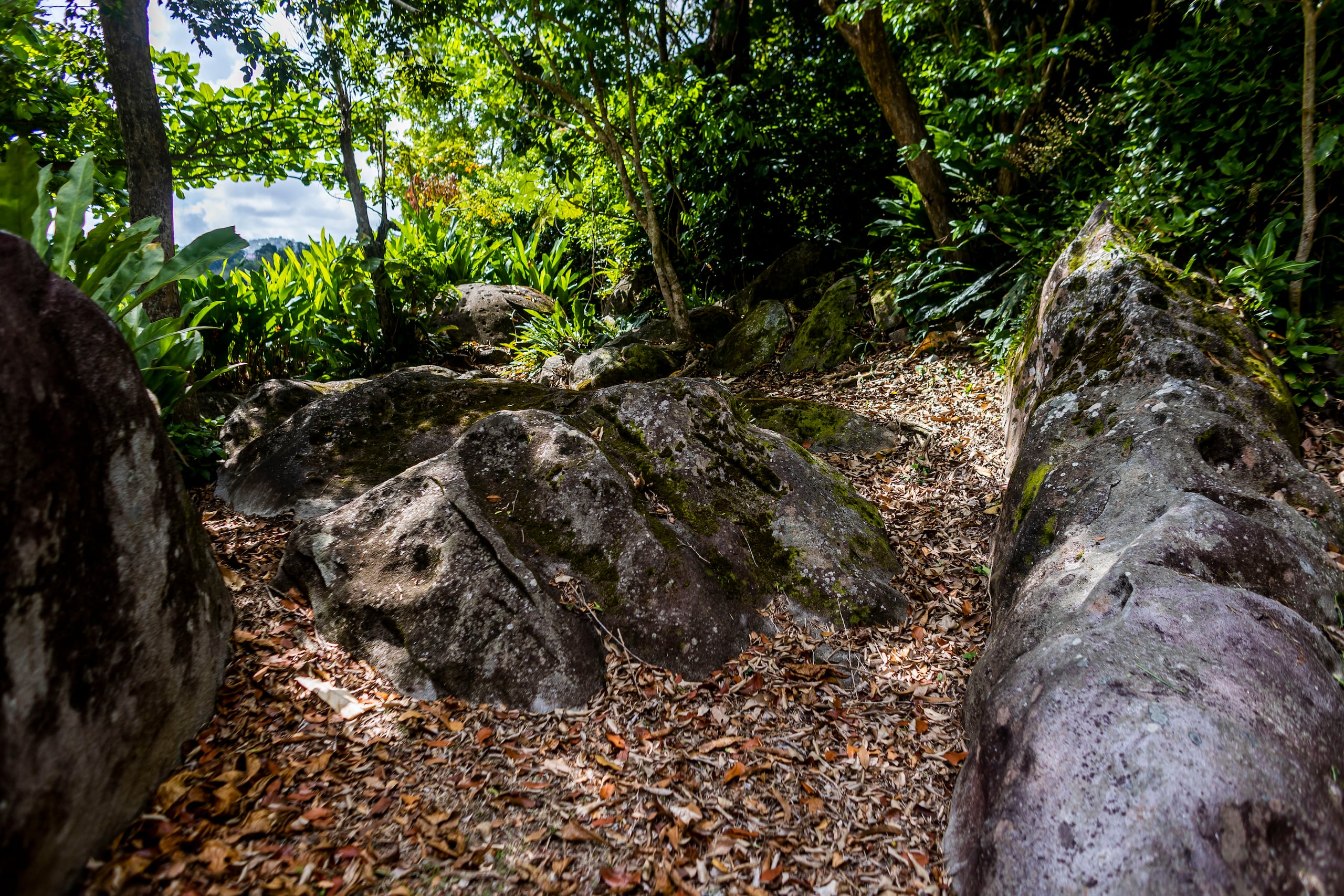 En el Parque Ceremonial Cueva del Indio se conservan más de 200 petroglifos.