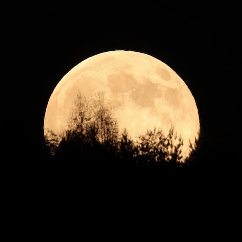 FOTOS: La Superluna de noviembre brilla más cerca en todo el mundo