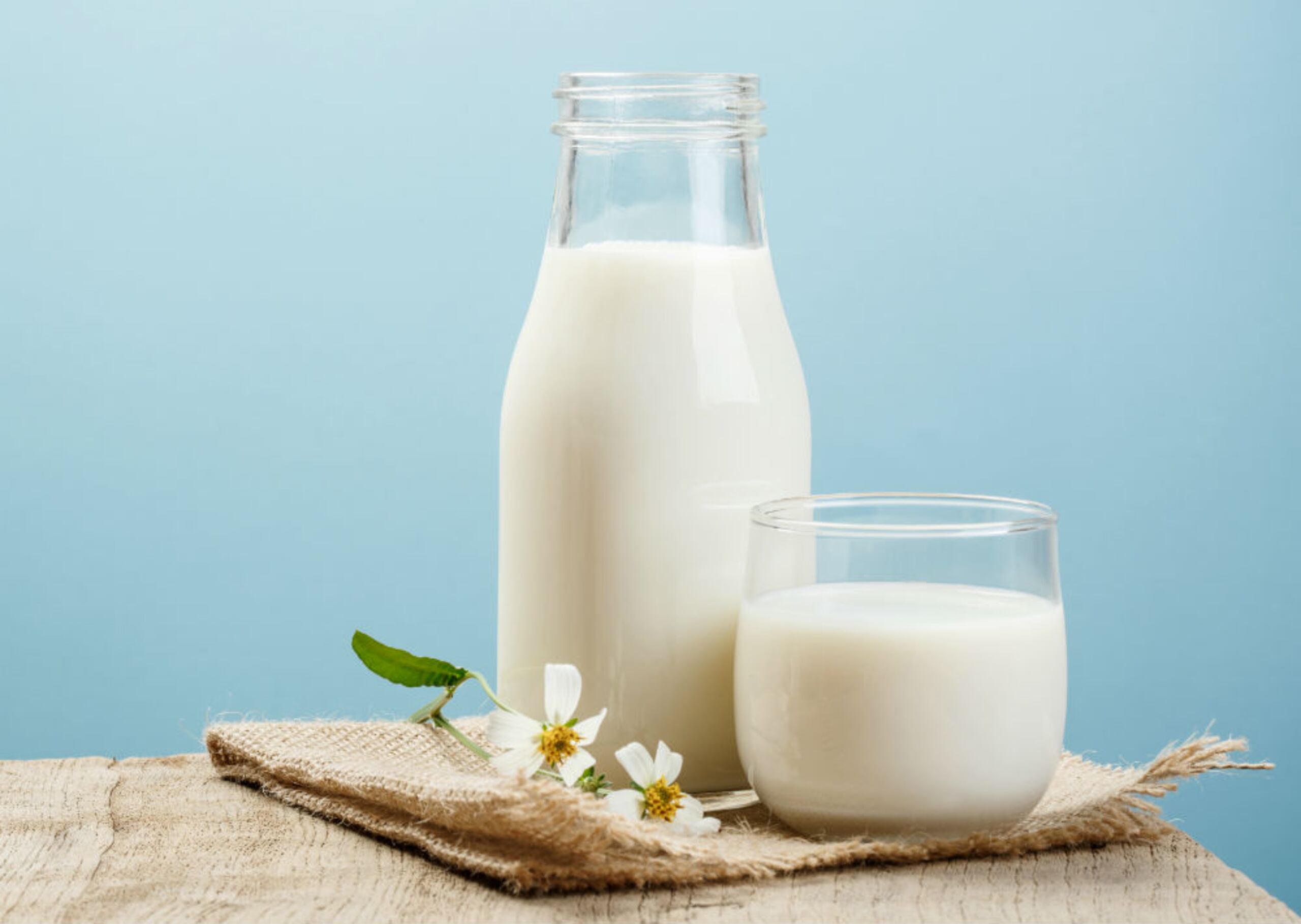 Lácteos enteros: Se ha relacionado el consumo de grasas "trans" y saturadas con el desarrollo de depresión. La recomendación de los especialistas es elegir lácteos desnatados o bajos en grasa. (Shutterstock)