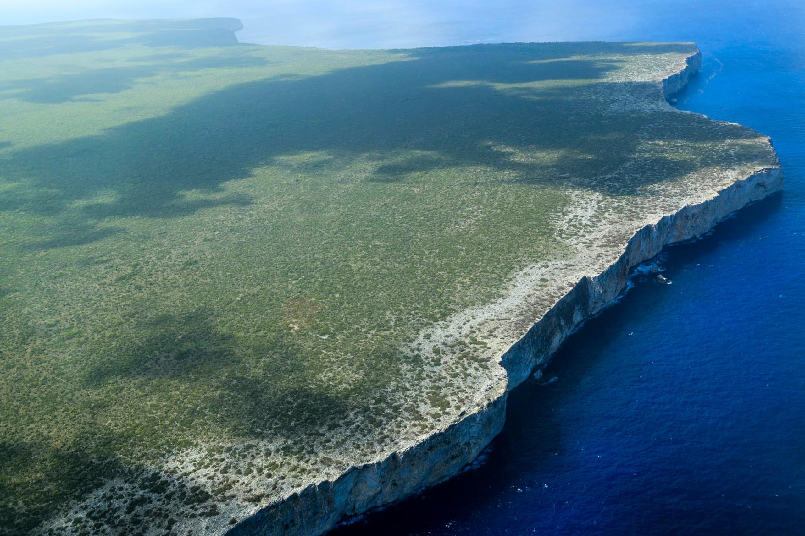 El grupo fue abandonado en las costas de la reserva natural en horas de la noche