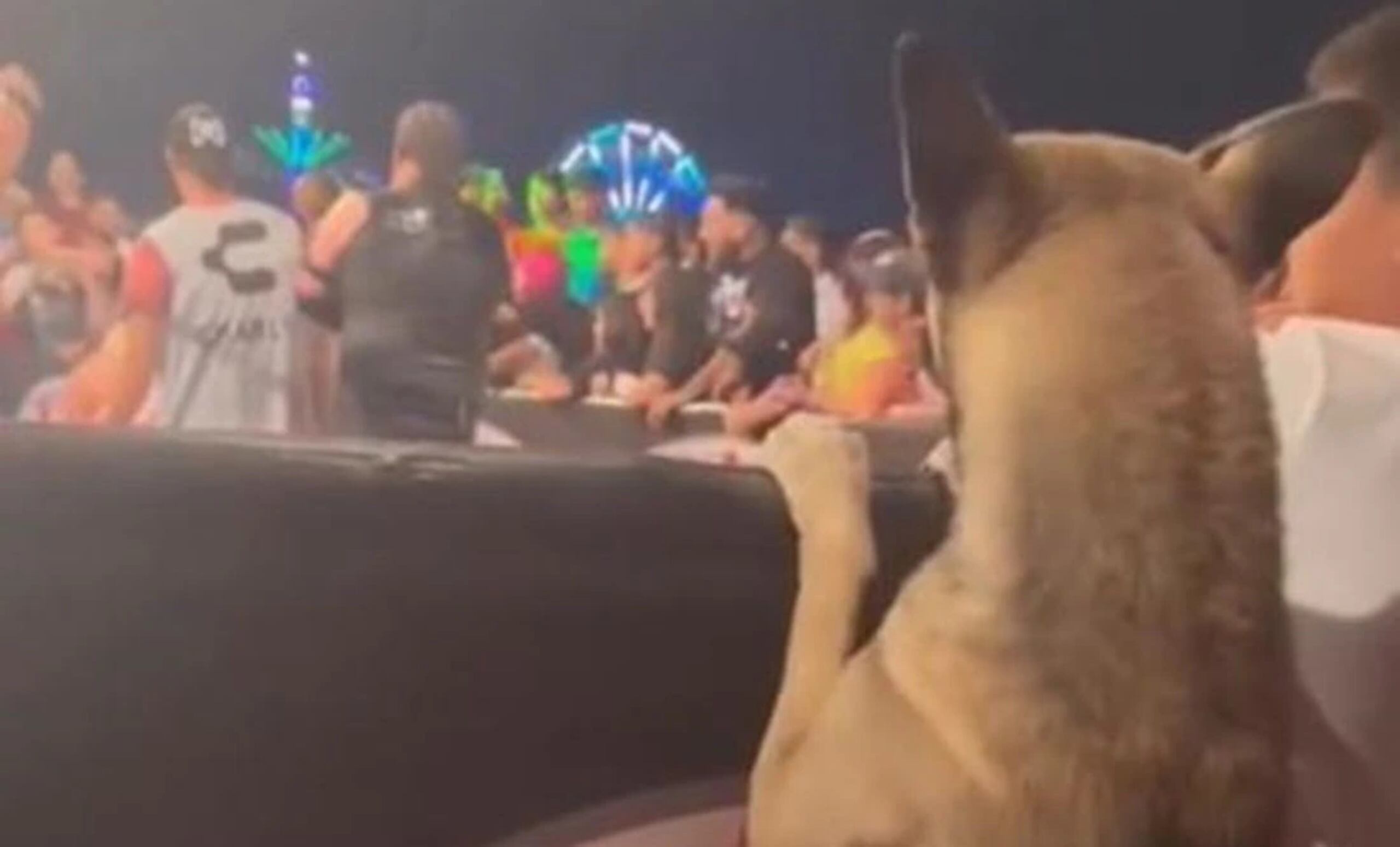 El video en la red social TikTok se ha tornado viral, alcanzando sobre 90 mil likes.