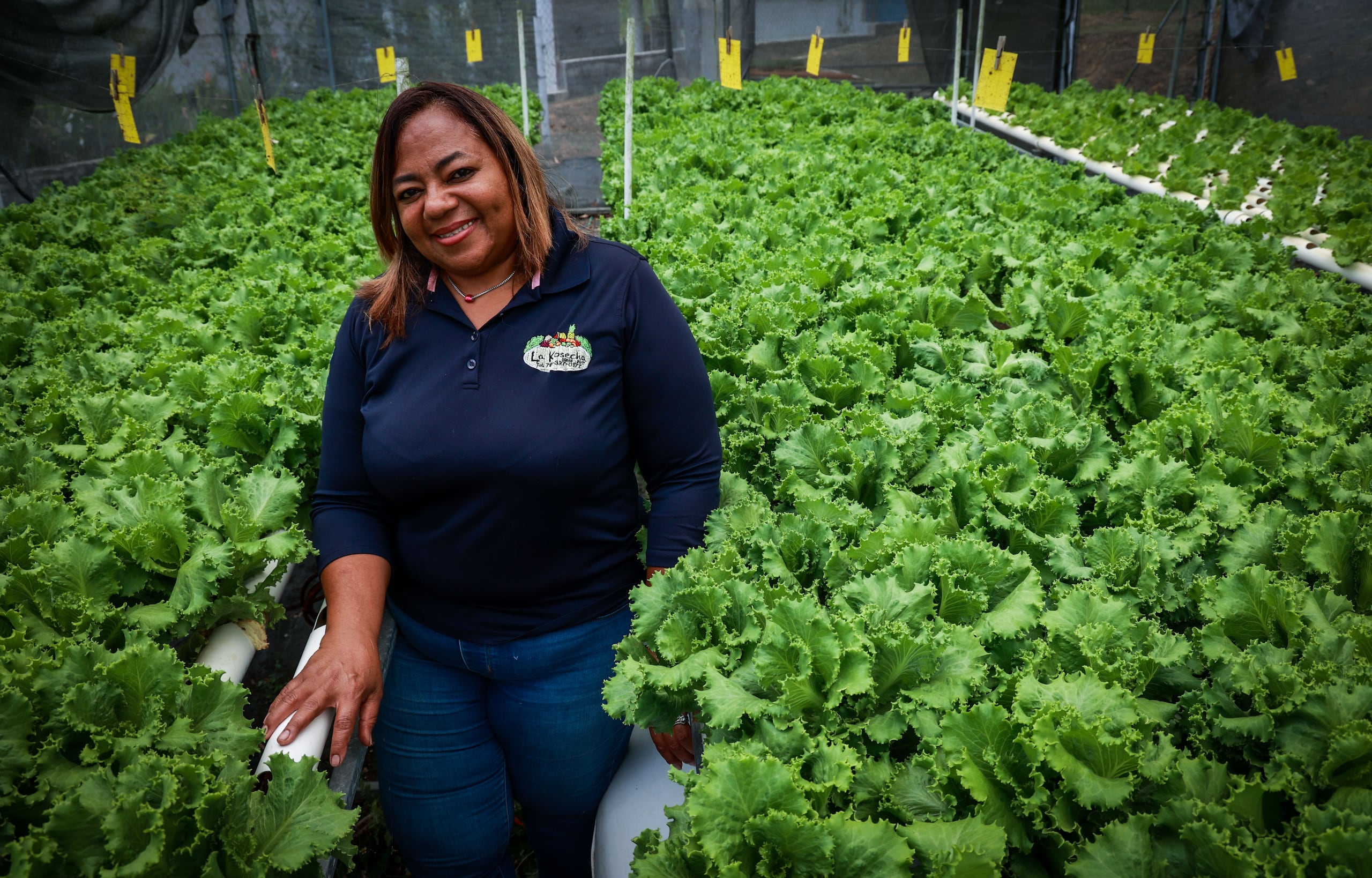 Carmen Vicente, de La Kosecha, explicó como se han convertido en un referente para estudiantes y otros agricultores del área interesados en la agricultura hidropónica.