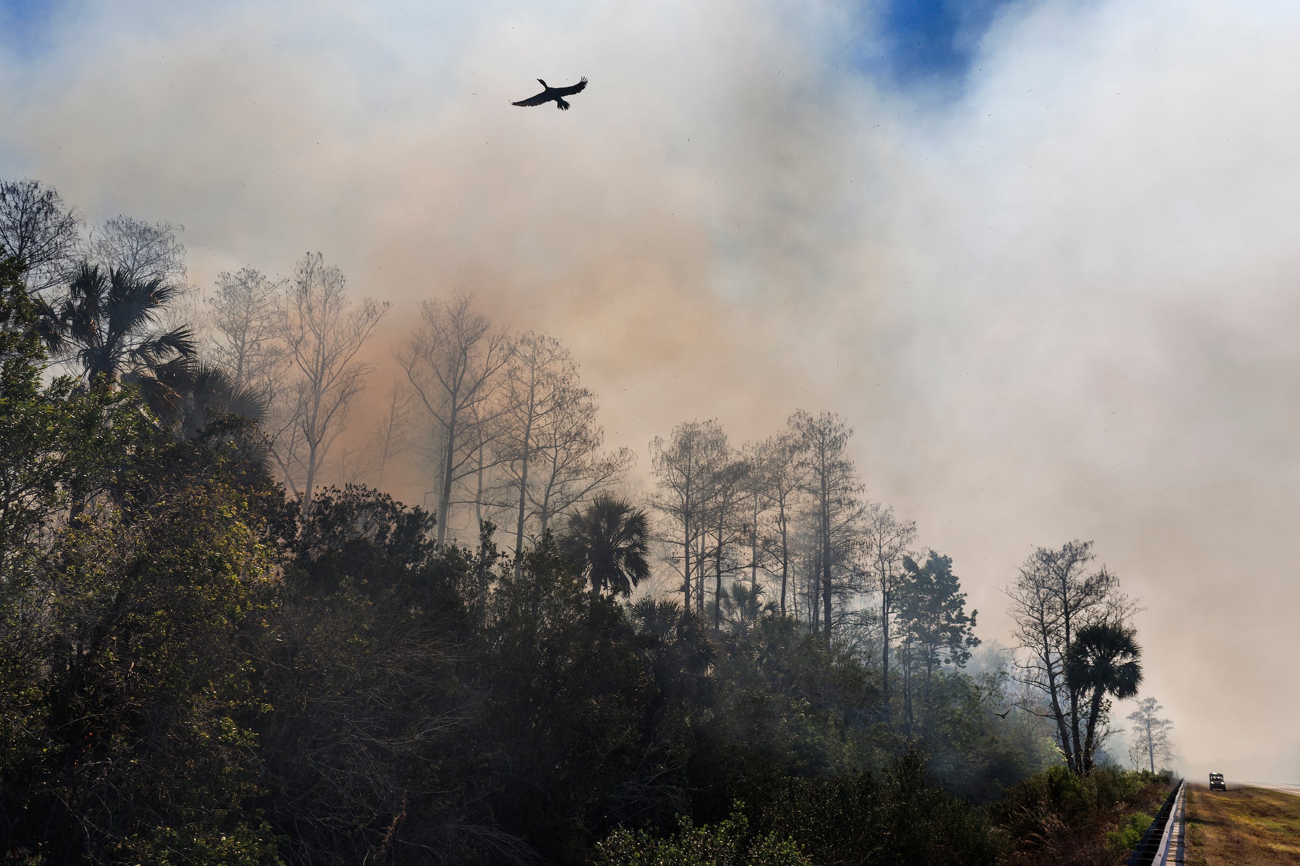 Estados Unidos ya ha registrado cerca de 75% más incendios forestales que en el mismo lapso de 2025. (EFE/EPA/CRISTOBAL HERRERA-ULASHKEVICH)