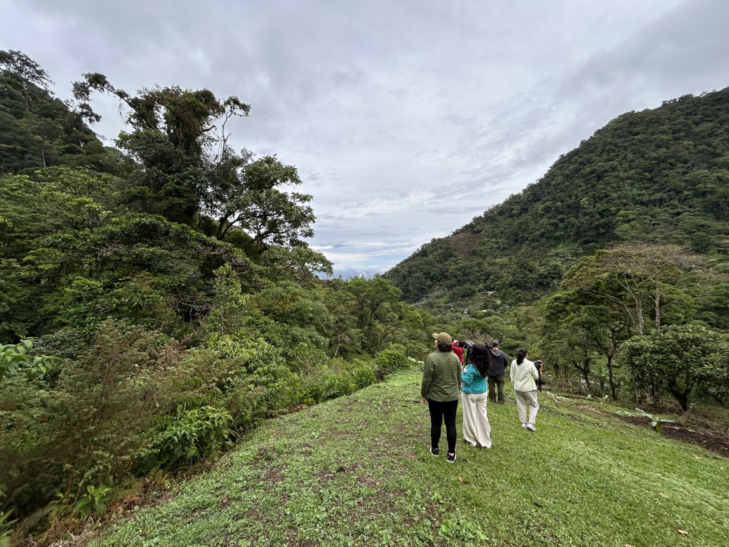 La observación de aves es una de las actividades practicadas en Costa Rica.