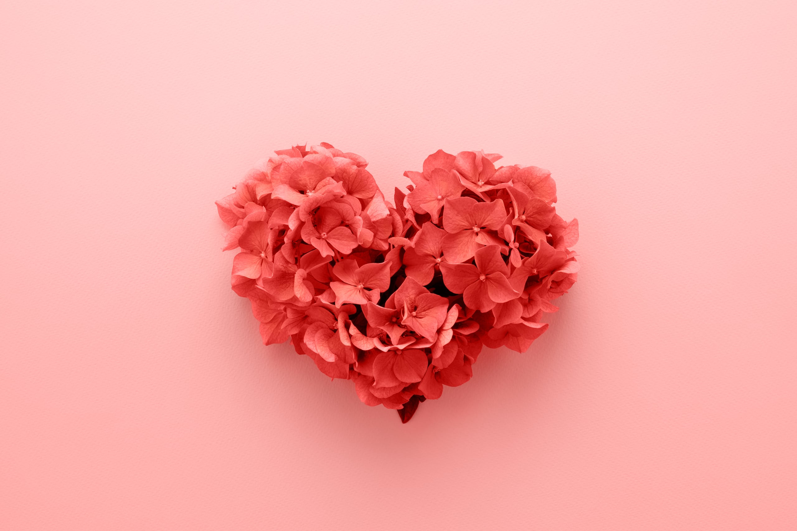 A pesar de las limitaciones para atender efectivamente las enfermedades cardiovasculares entre las mujeres en menopausia.