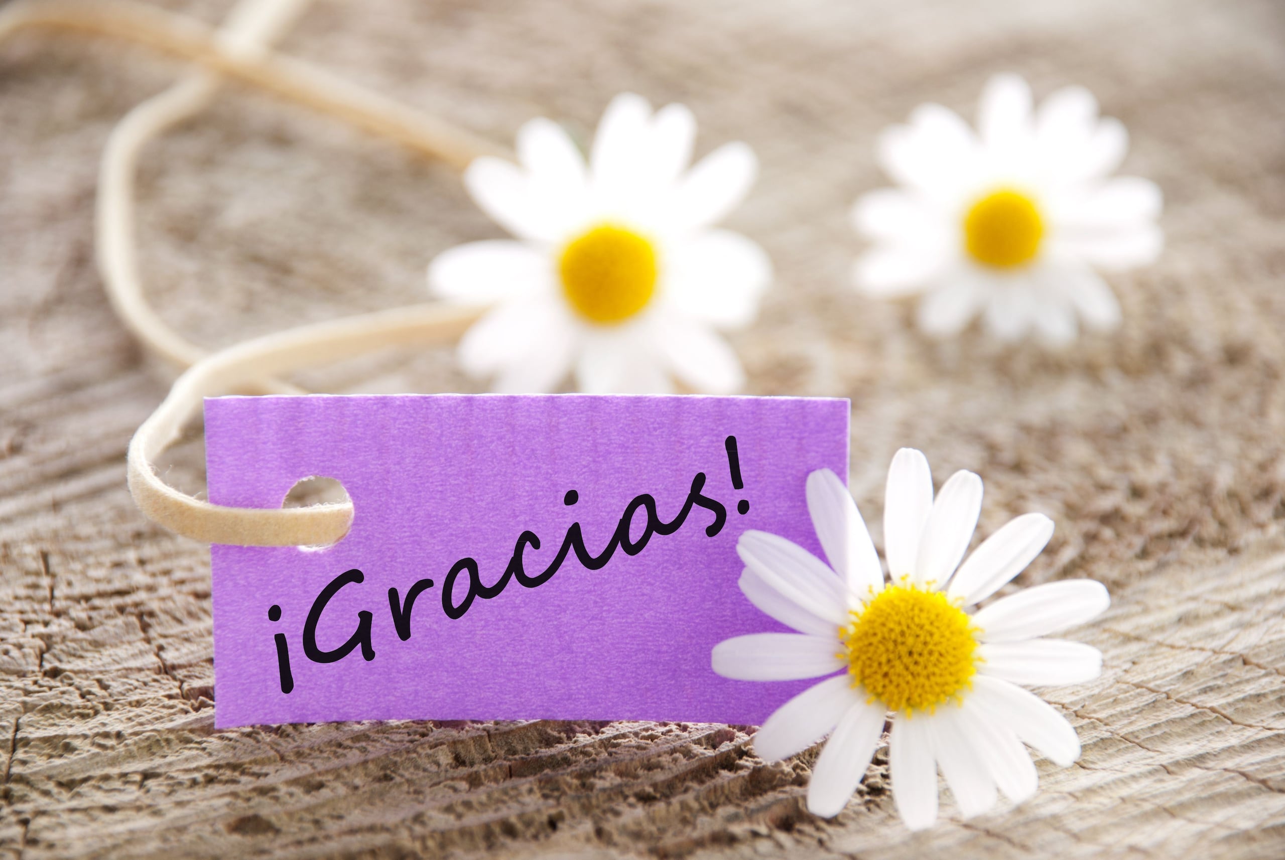 Practicar la gratitud significa sentirse contento en un momento dado, pese a las imperfecciones de la vida. (Shutterstock.com)