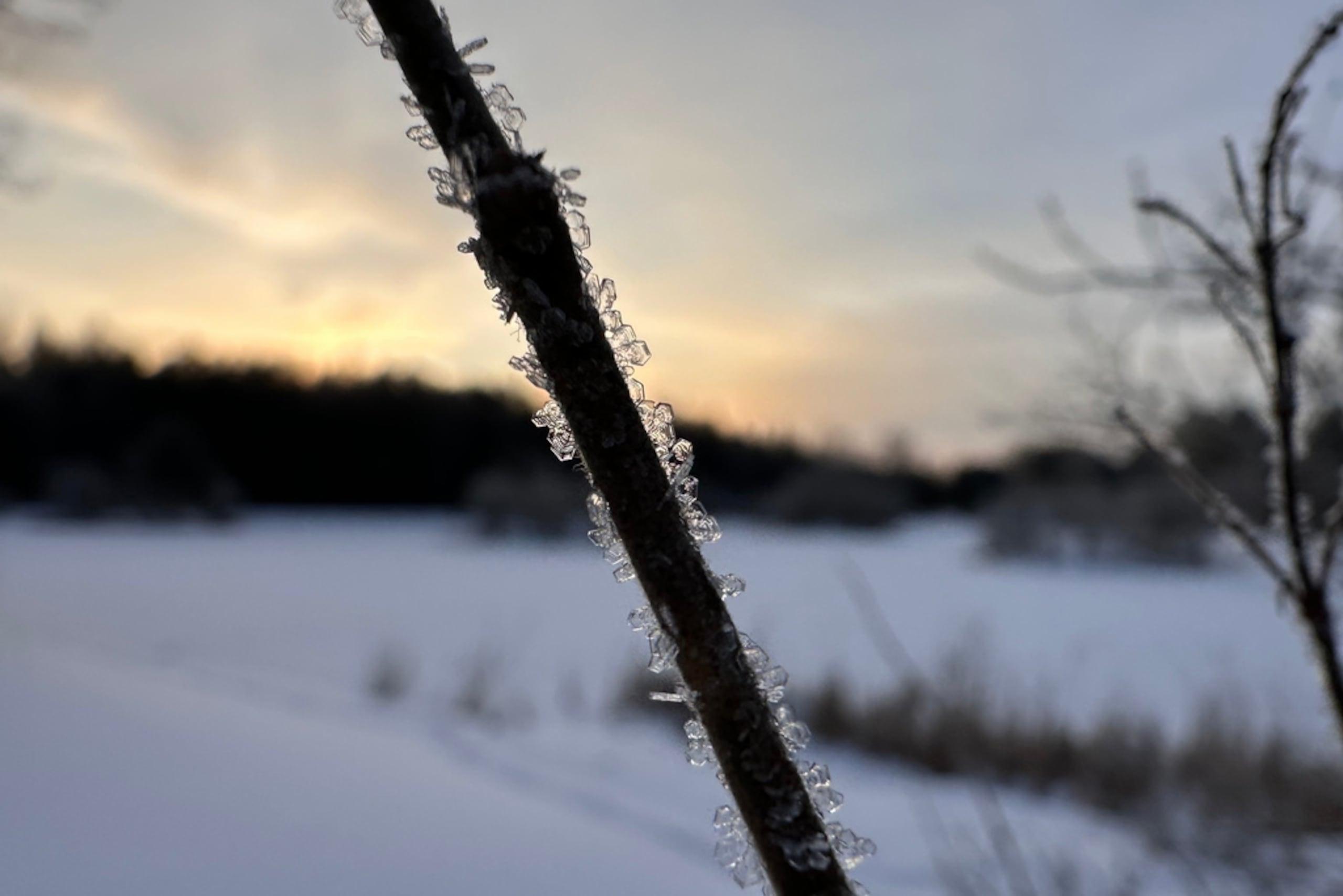 Cristales de hielo cubren una rama al amanecer en Lowville, Nueva York, el domingo 28 de diciembre de 2025.