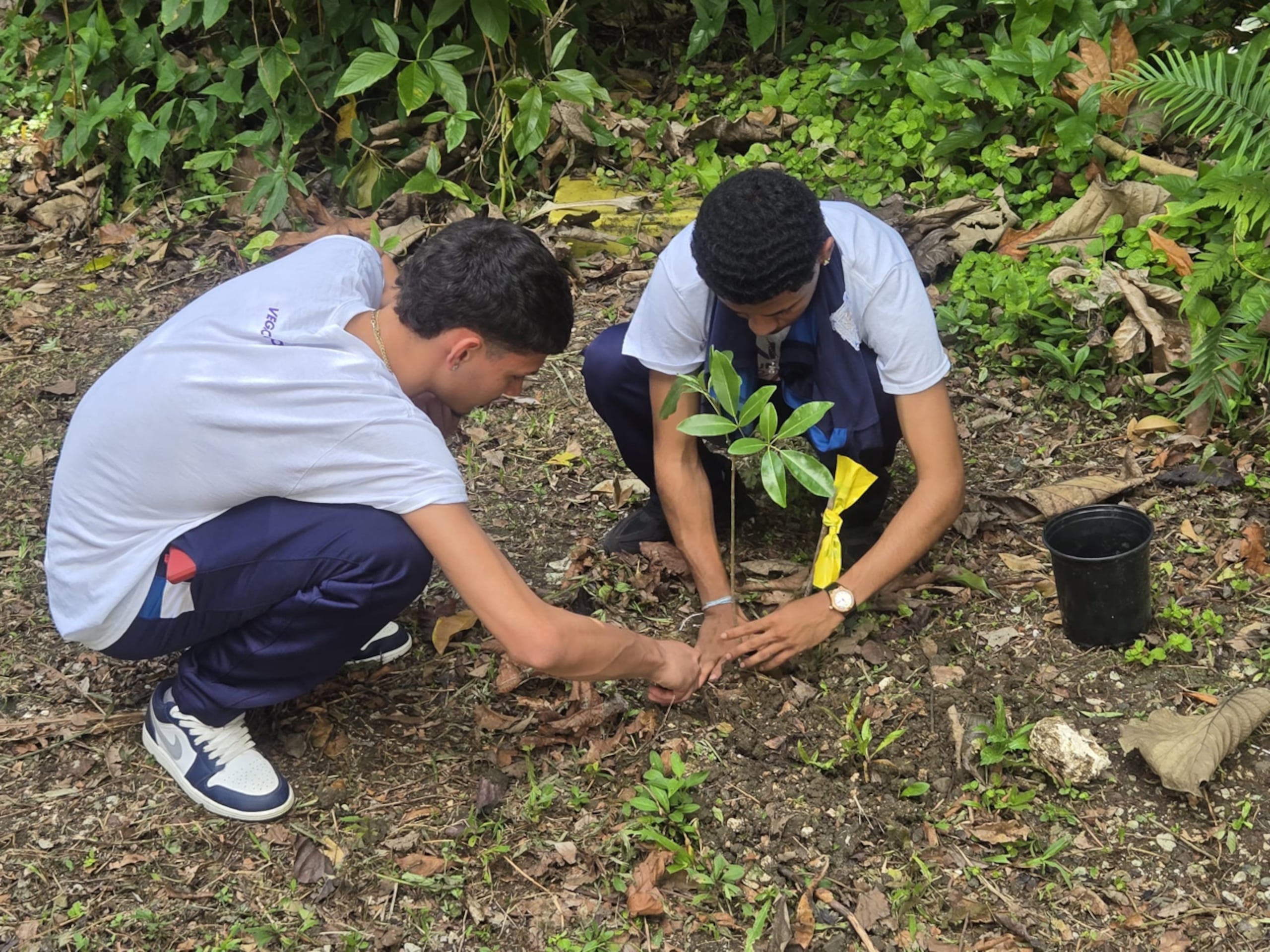 Los alumnos recibieron una charla educativa enfocada en “Acciones para cuidar la Tierra” y luego participaron de una caminata guiada por la vereda de la reserva natural del Bosque de Vega.