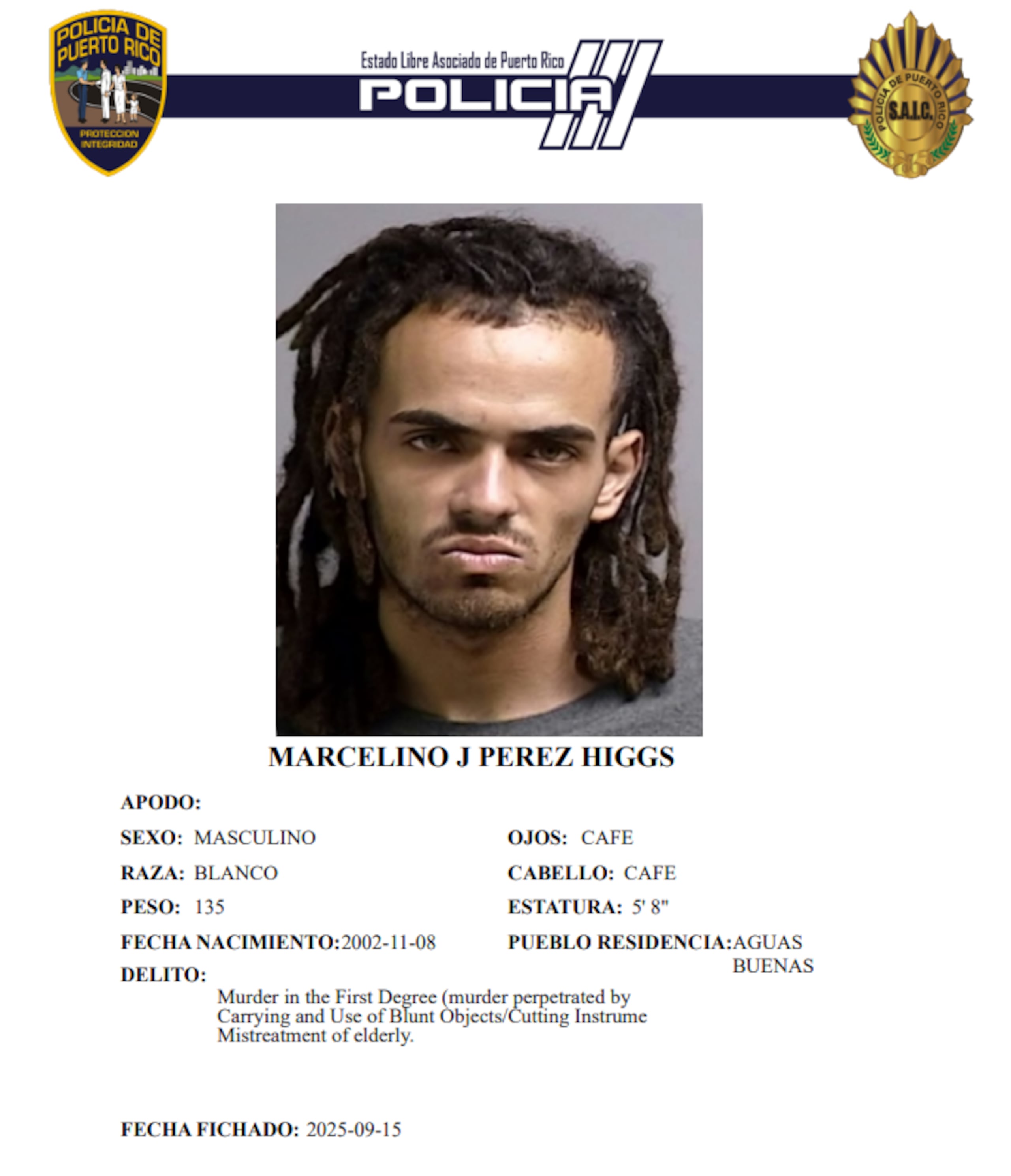 Ficha policiaca del imputado, Marcelino J. Pérez Higgs, de 22 años.