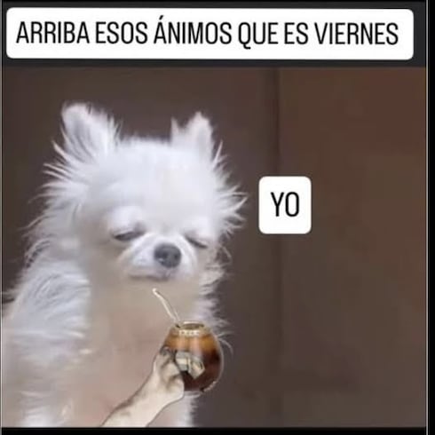 Los mejores memes de la semana