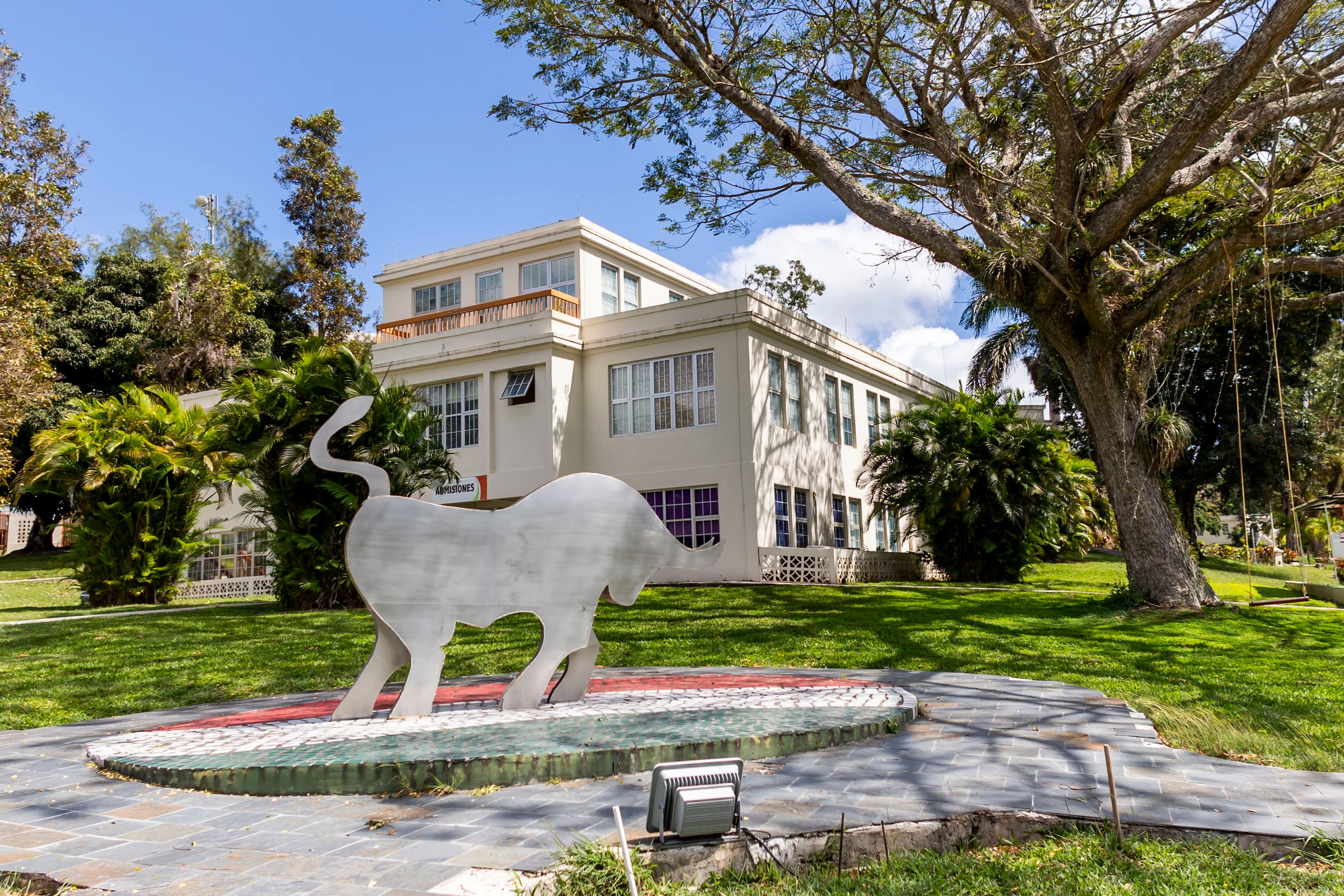 Arte público de un torito a punto de embestir en el campus de Cayey de la Universidad de Puerto Rico. El torito es la mascota de la universidad.