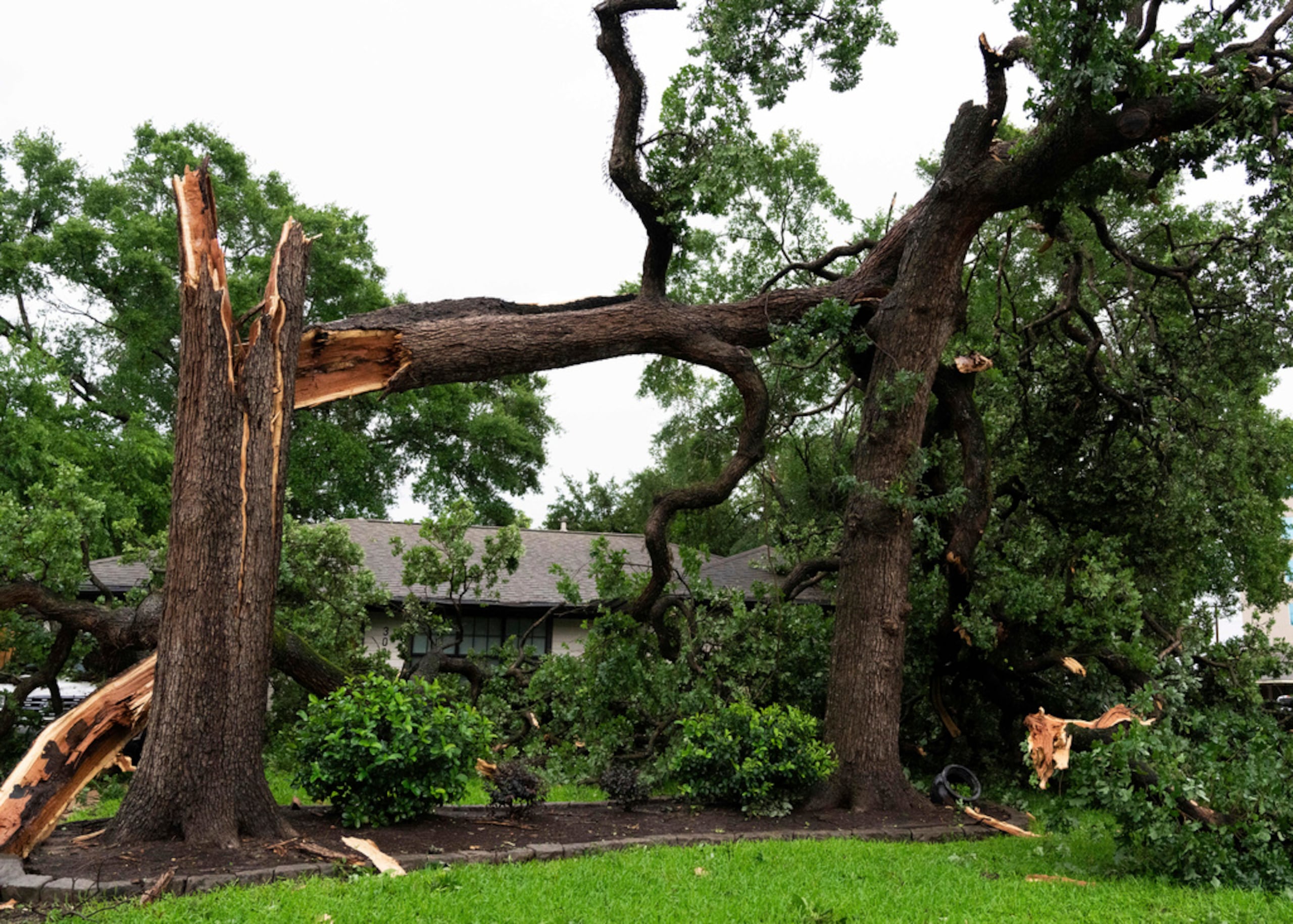 La agencia dijo que recibió 13 reportes de tornados el domingo desde Oklahoma, Kansas y Colorado.
