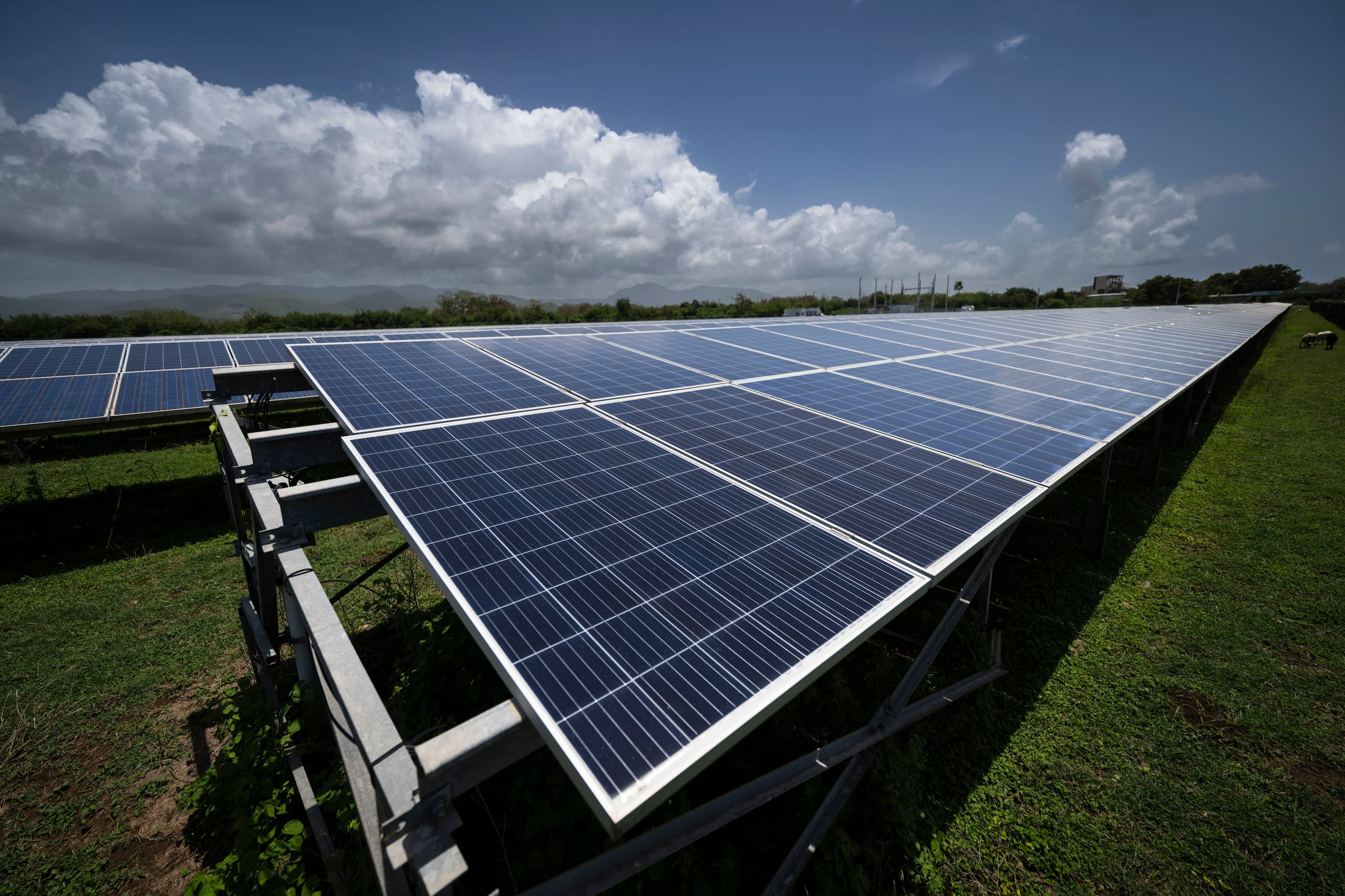 “El despliegue rápido y generalizado de energía solar en los techos ha creado fluctuaciones en la red de Puerto Rico, llevando a una inestabilidad y fragilidad inaceptables”, informó el Departamento de Energía de Estados Unidos.