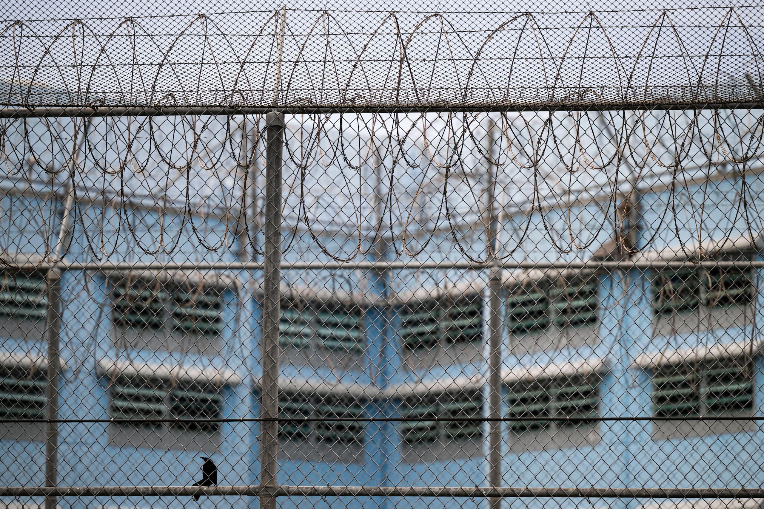 A la mujer se le impuso una fianza ascendente a $250 mil, la que no prestó, por lo que fue ingresada a prisión.