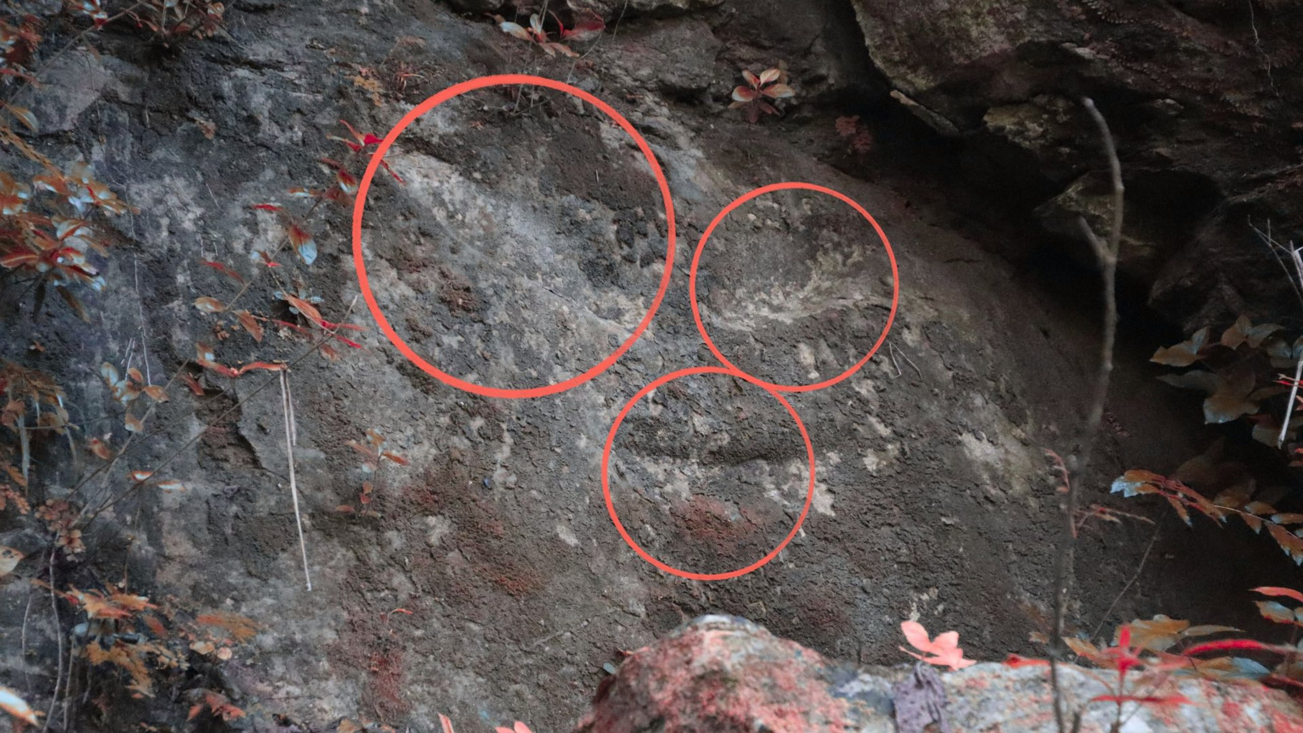 Se aprecian los ojos y la boca del cemí.