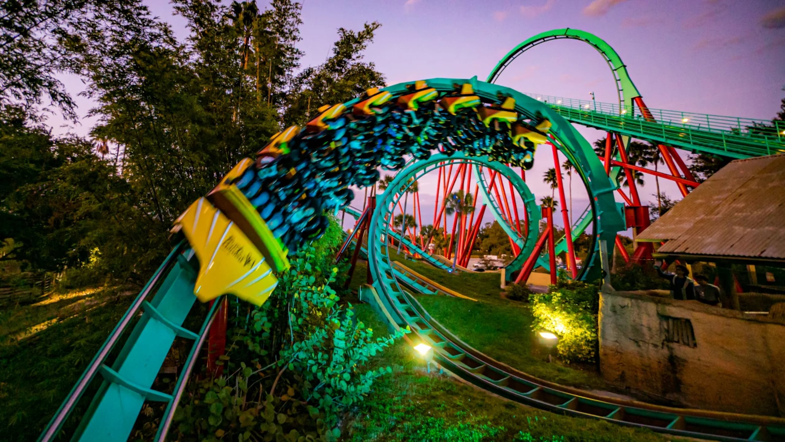 La montaña rusa Kumba en Busch Gardens Tampa Bay.