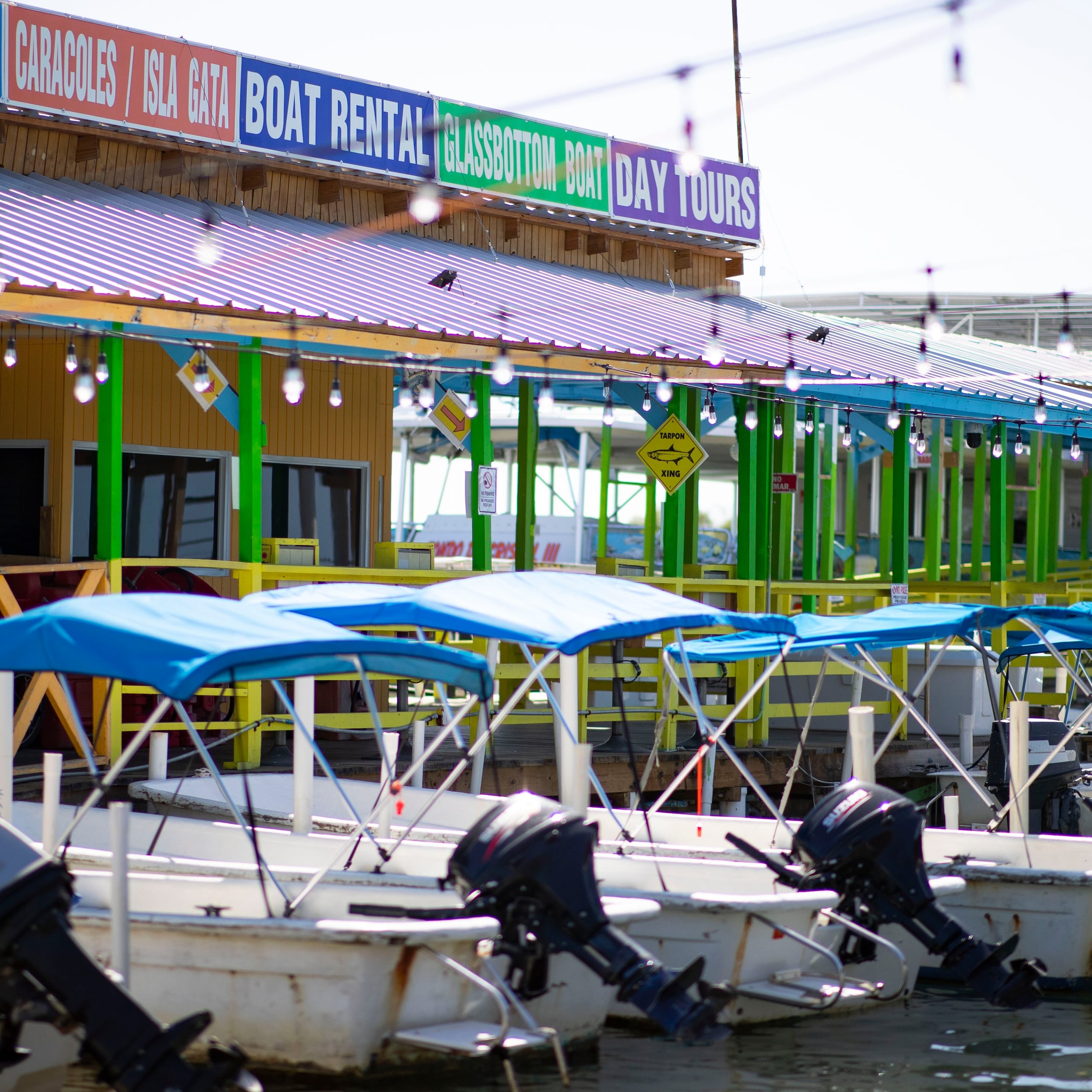 EN LA FOTO una vista de La Parguera, Lajas. (Archivo / Ramon " Tonito " Zayas / GFR Media)