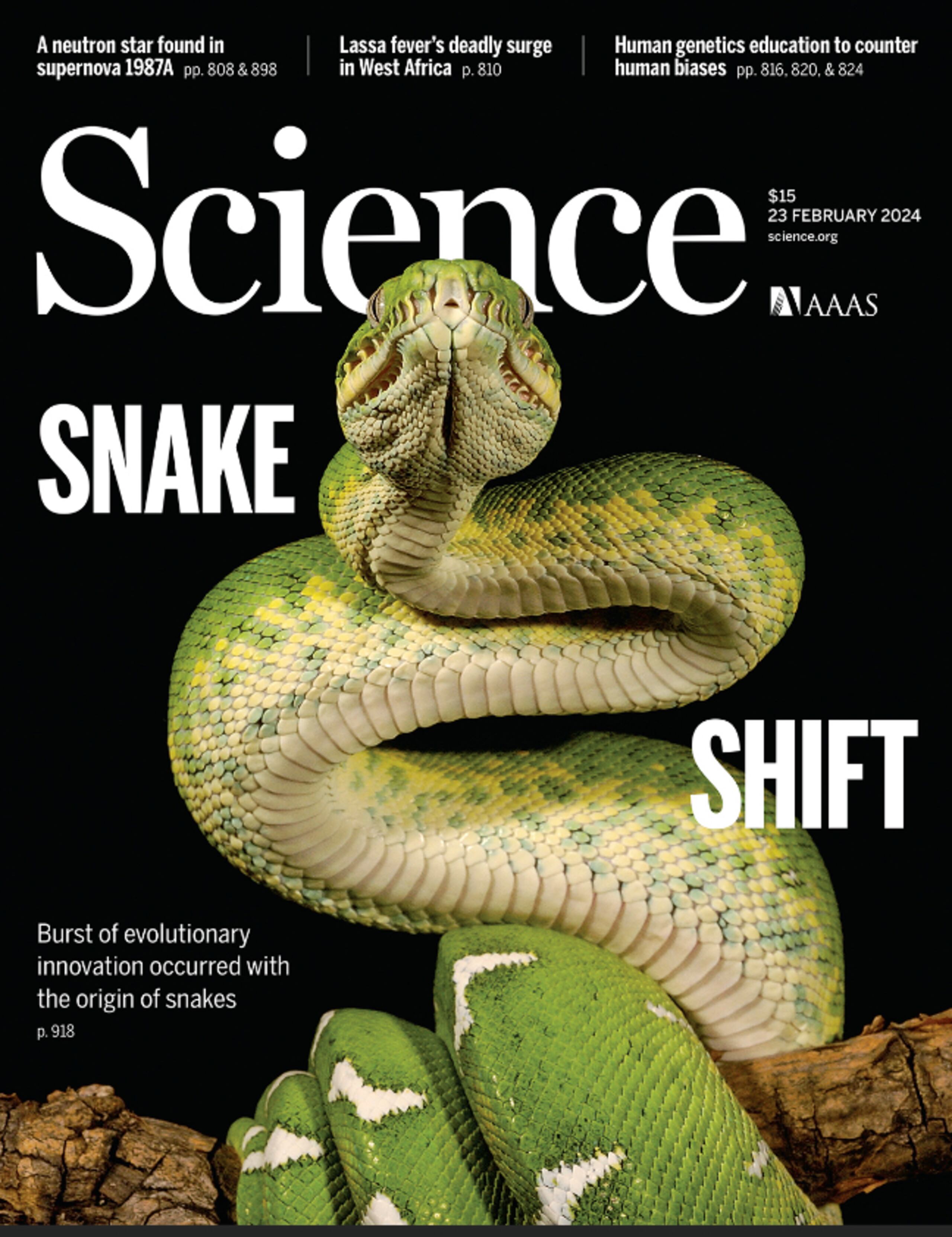 El estudio fue publicado en la revista científica Science.