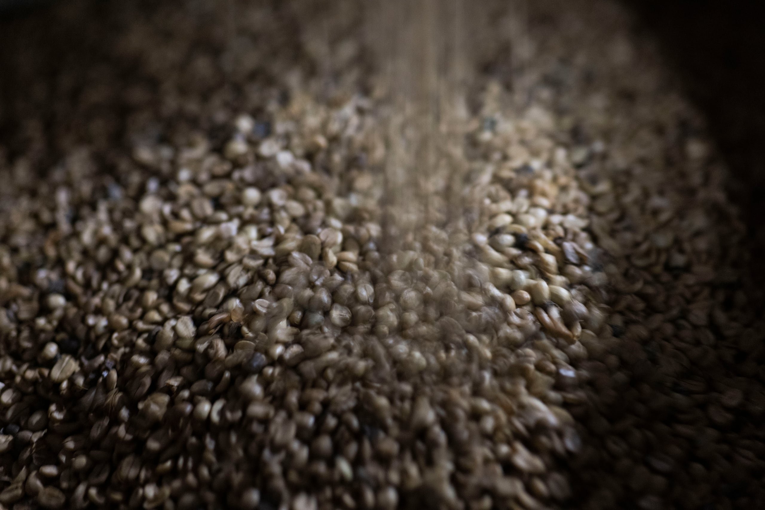 café tostado en grano. (Archivo)
